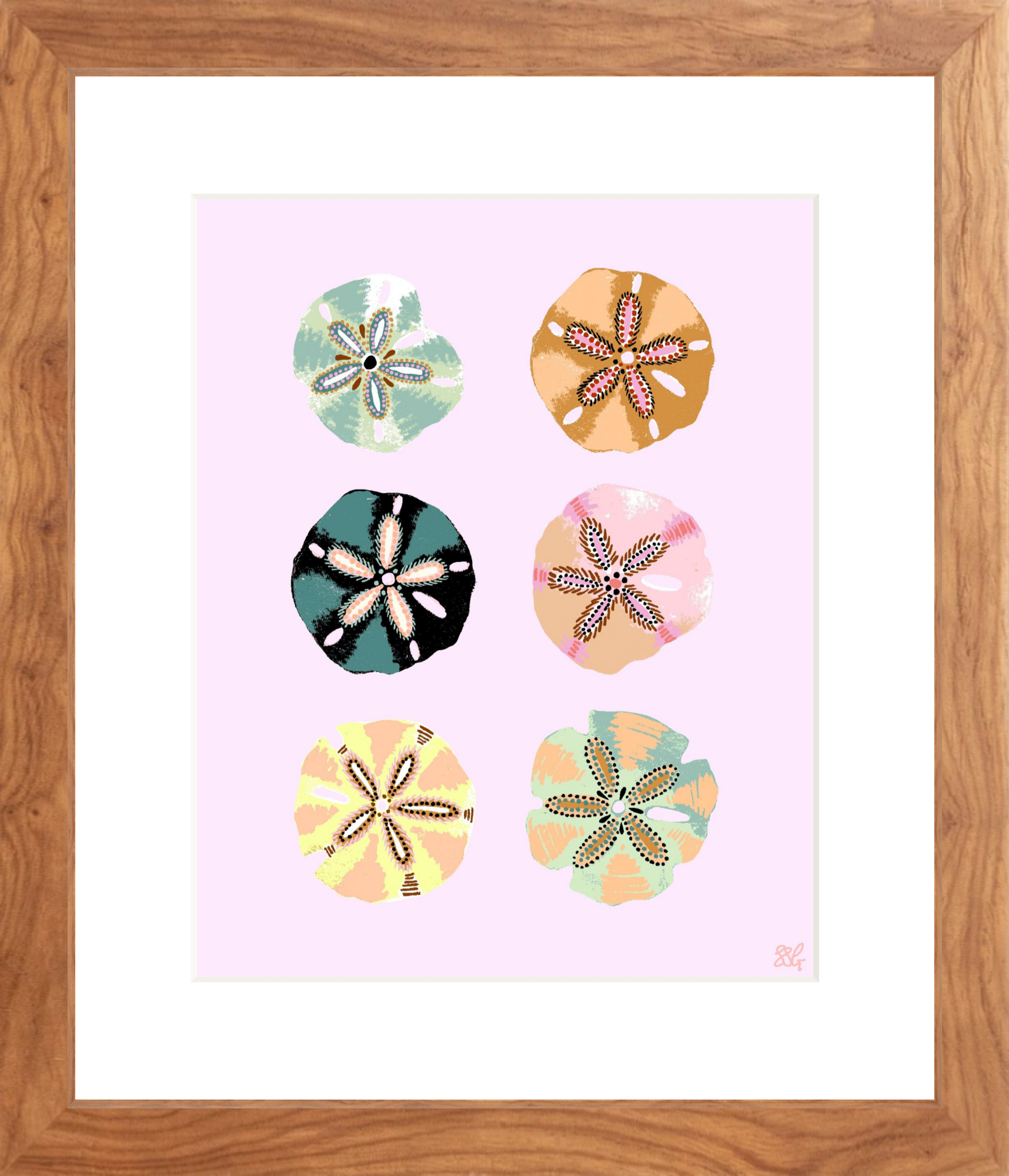 SAND DOLLAR 8" x 10" in 2 color options