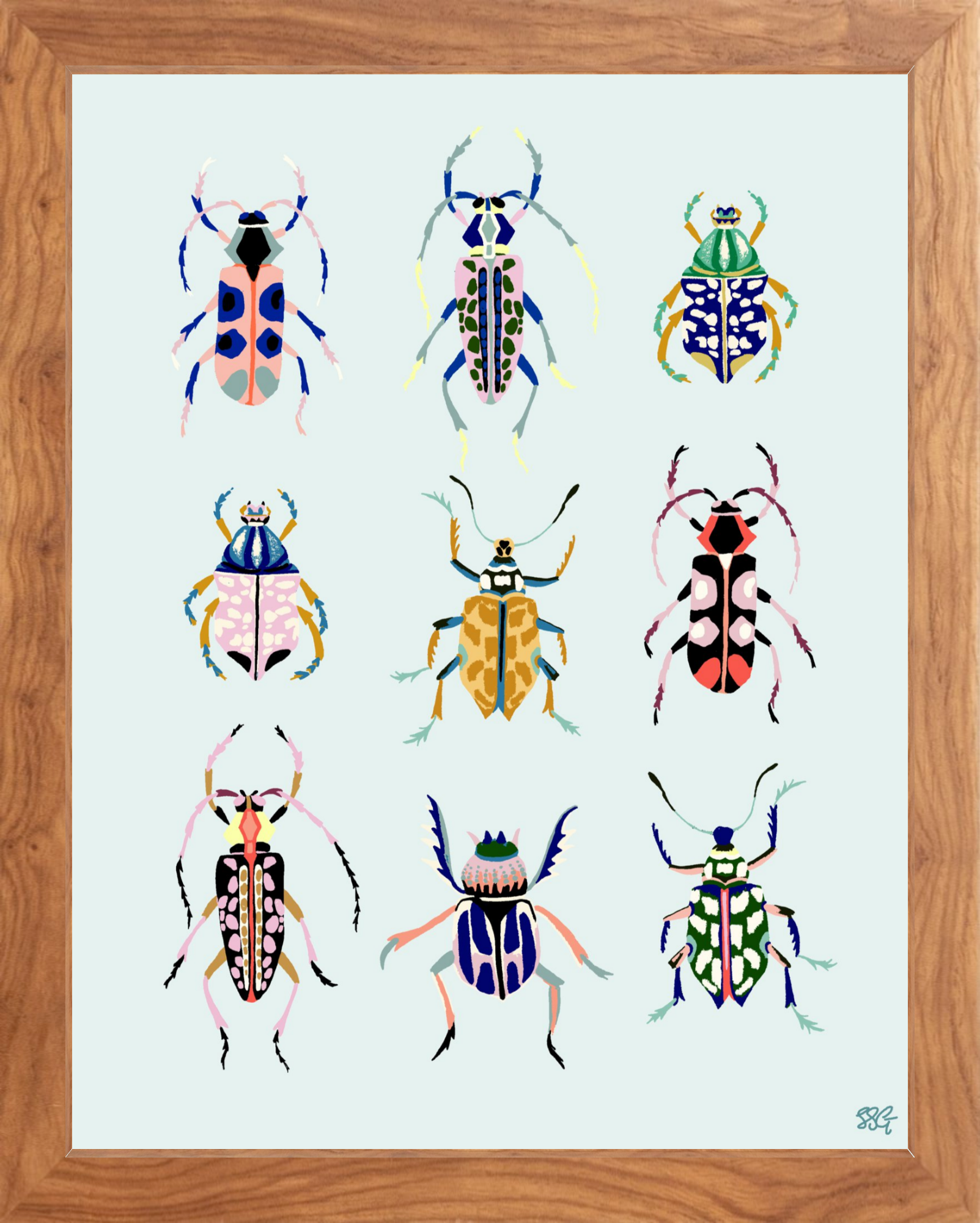 BEETLEBOX 11" x 14" 2 color options