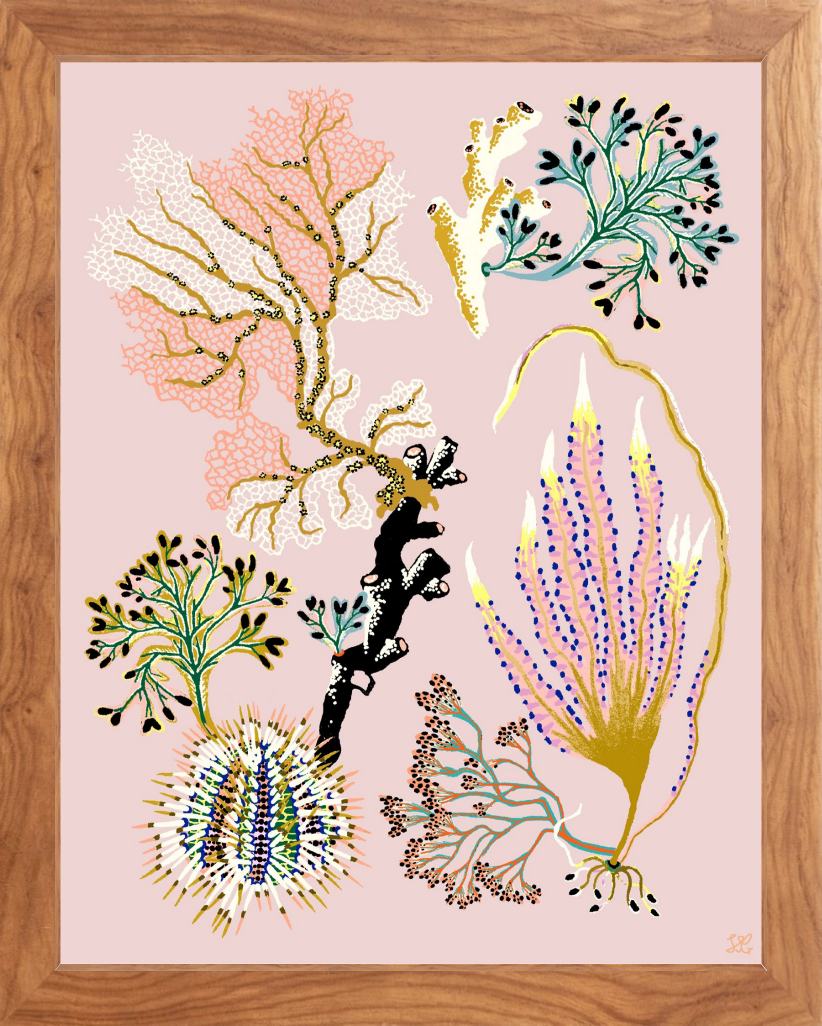 SEA GARDEN URCHIN 11" x 14"