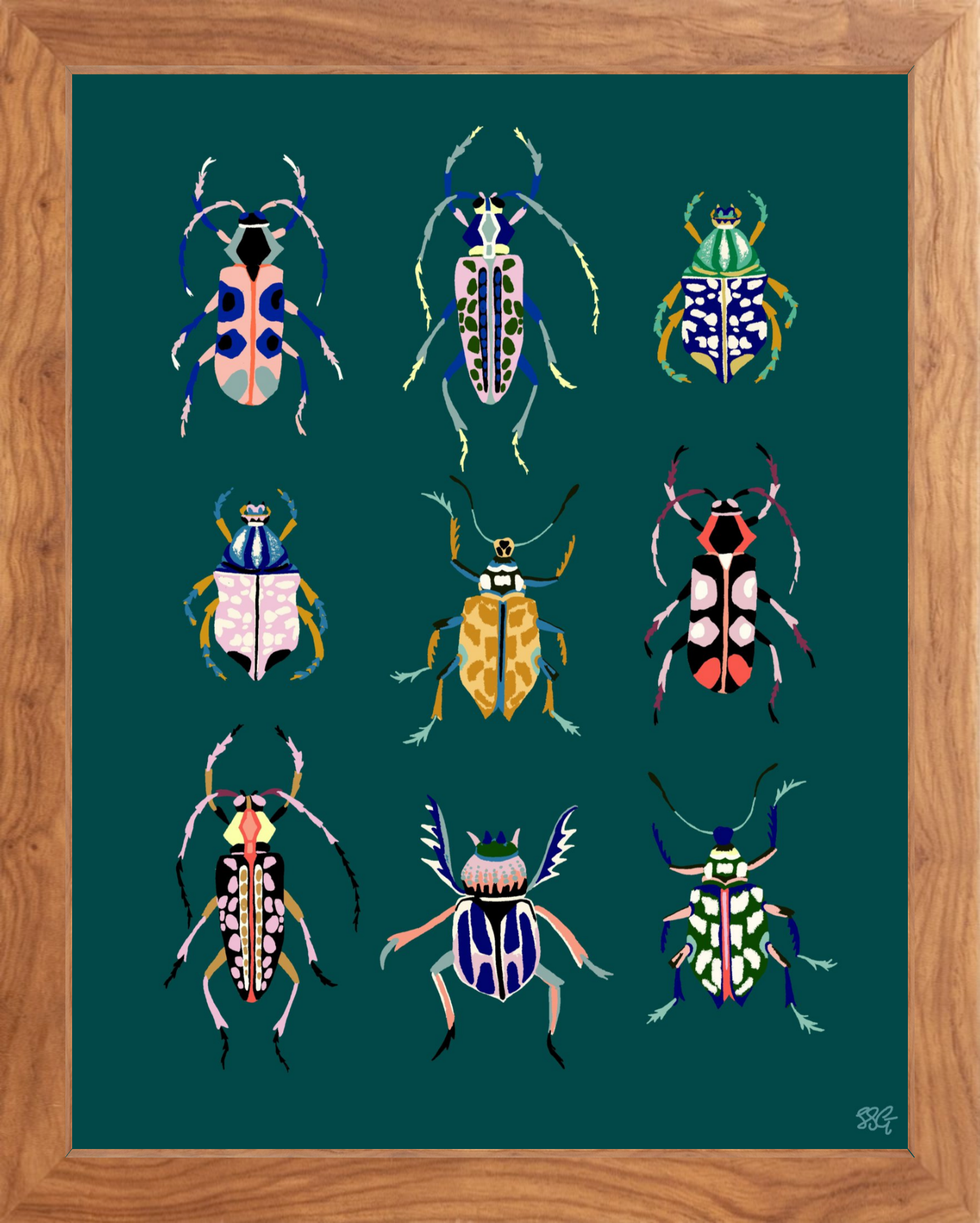 BEETLEBOX 11" x 14" 2 color options
