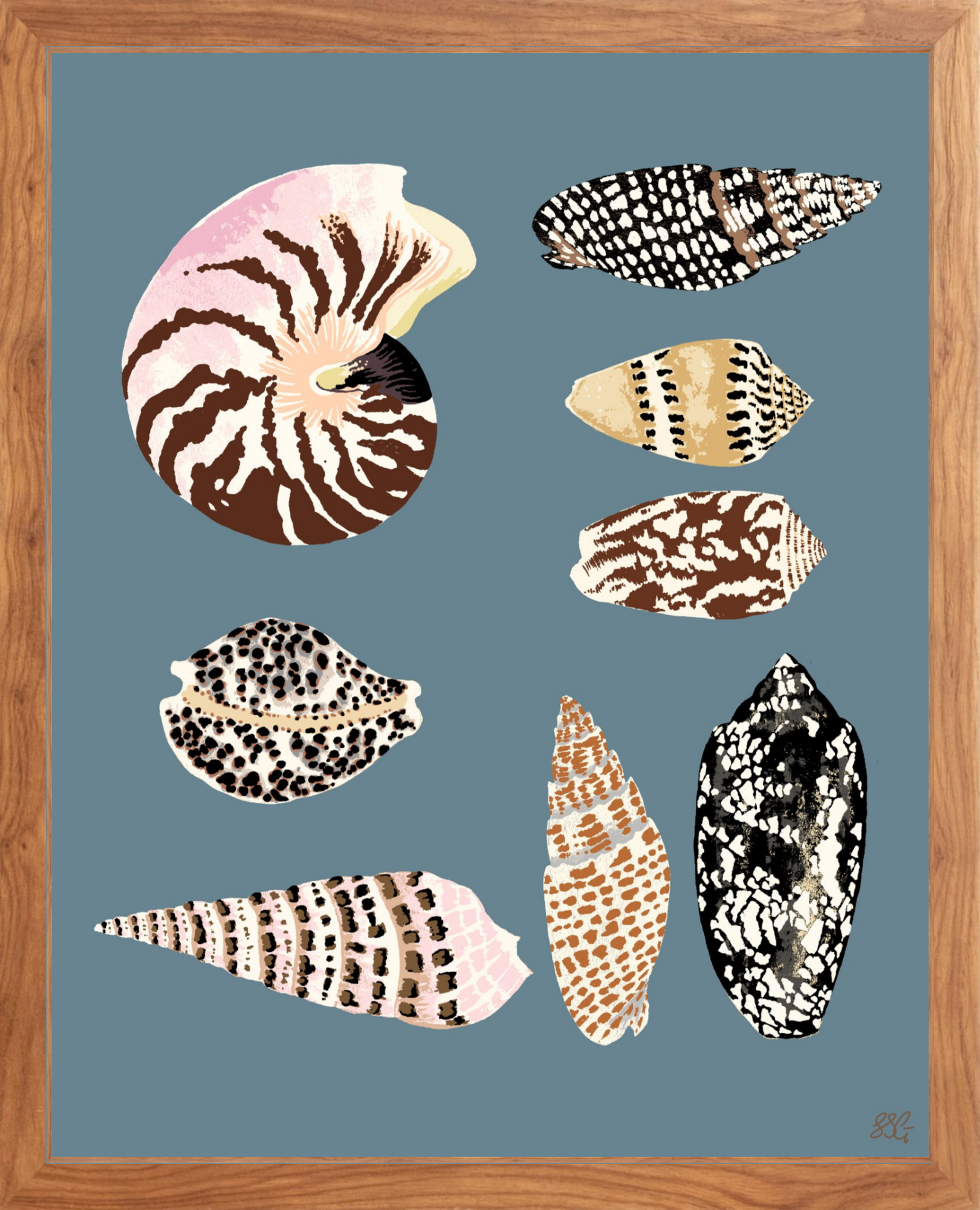 FIJI SHELLS 16" x 20" in 2 color options