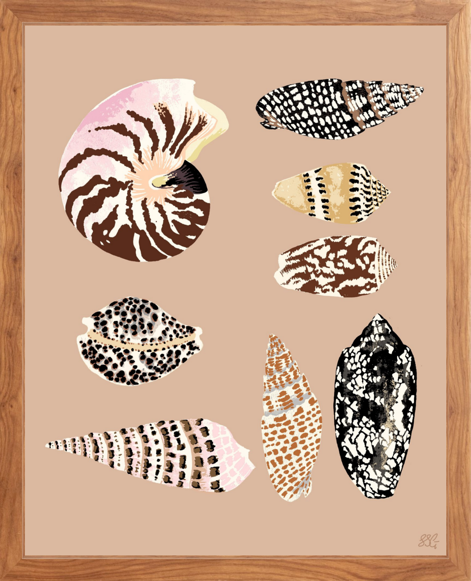 FIJI SHELLS 16" x 20" in 2 color options