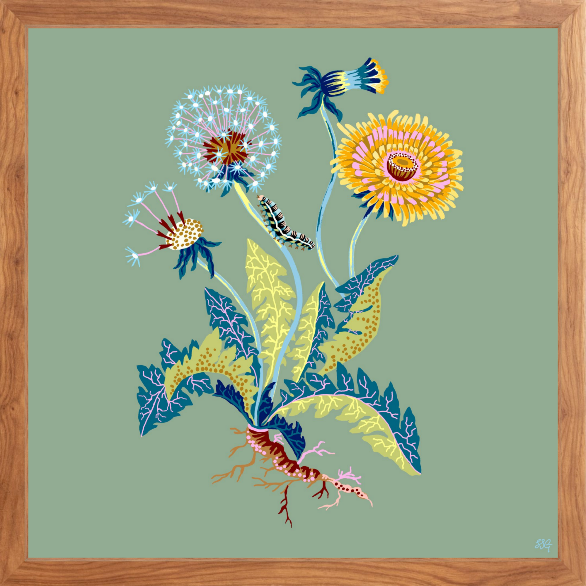 DANDELION 18" x 18"