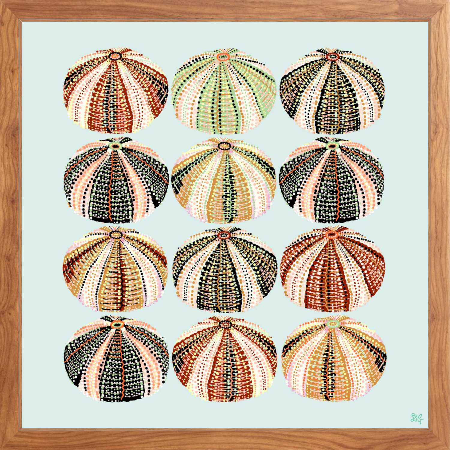 URCHIN 12 WAYS 18" X 18" in 2 color options