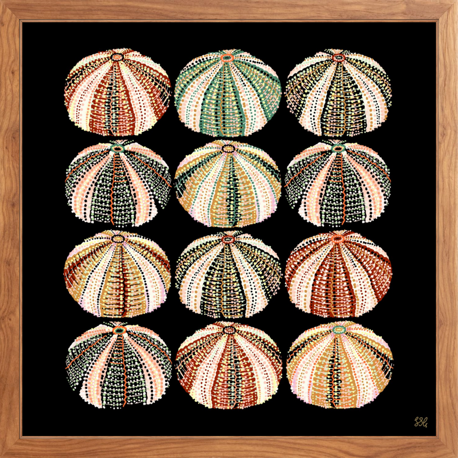 URCHIN 12 WAYS 18" X 18" in 2 color options