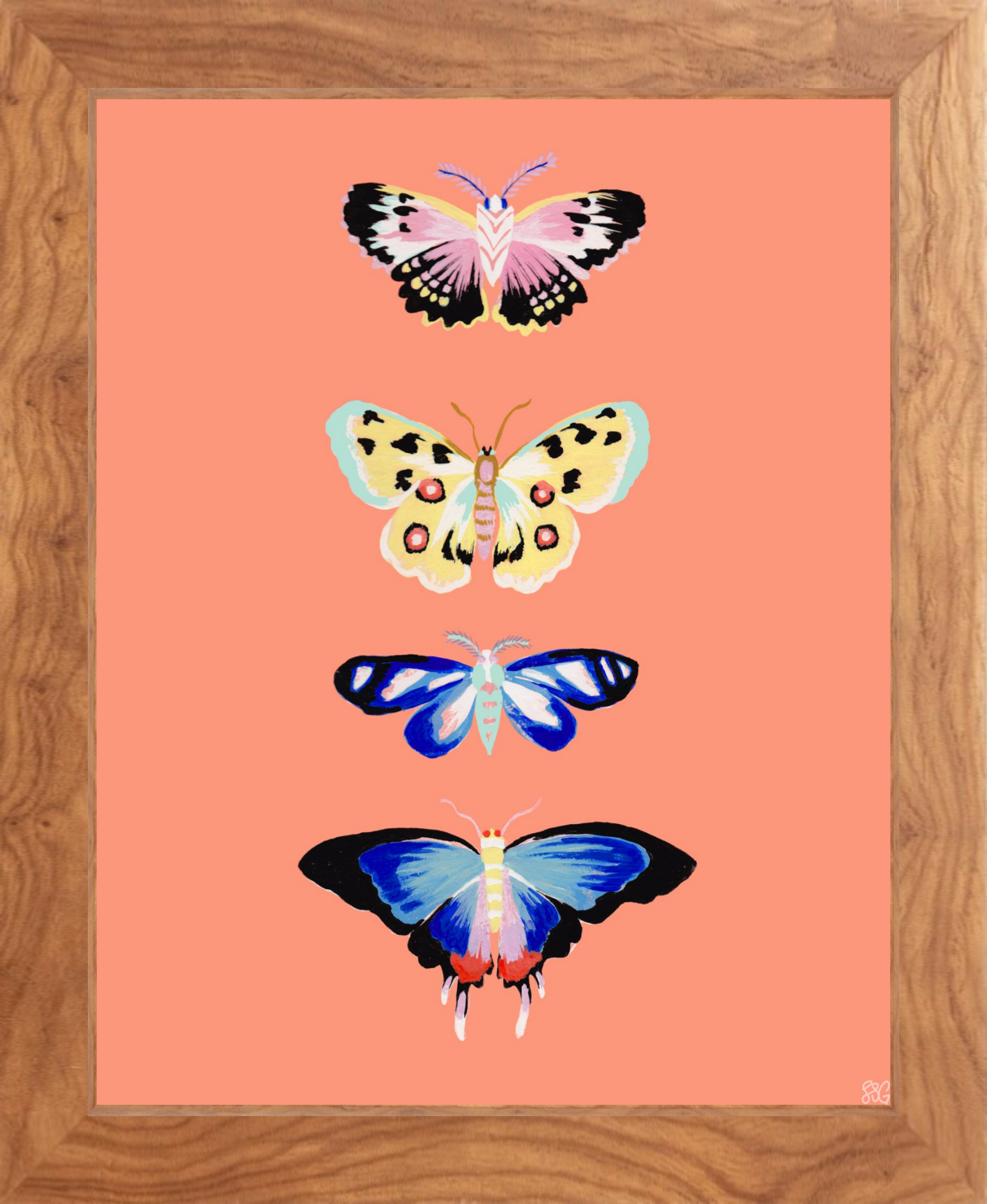 CORAL BUTTERFLY 8" x 10"