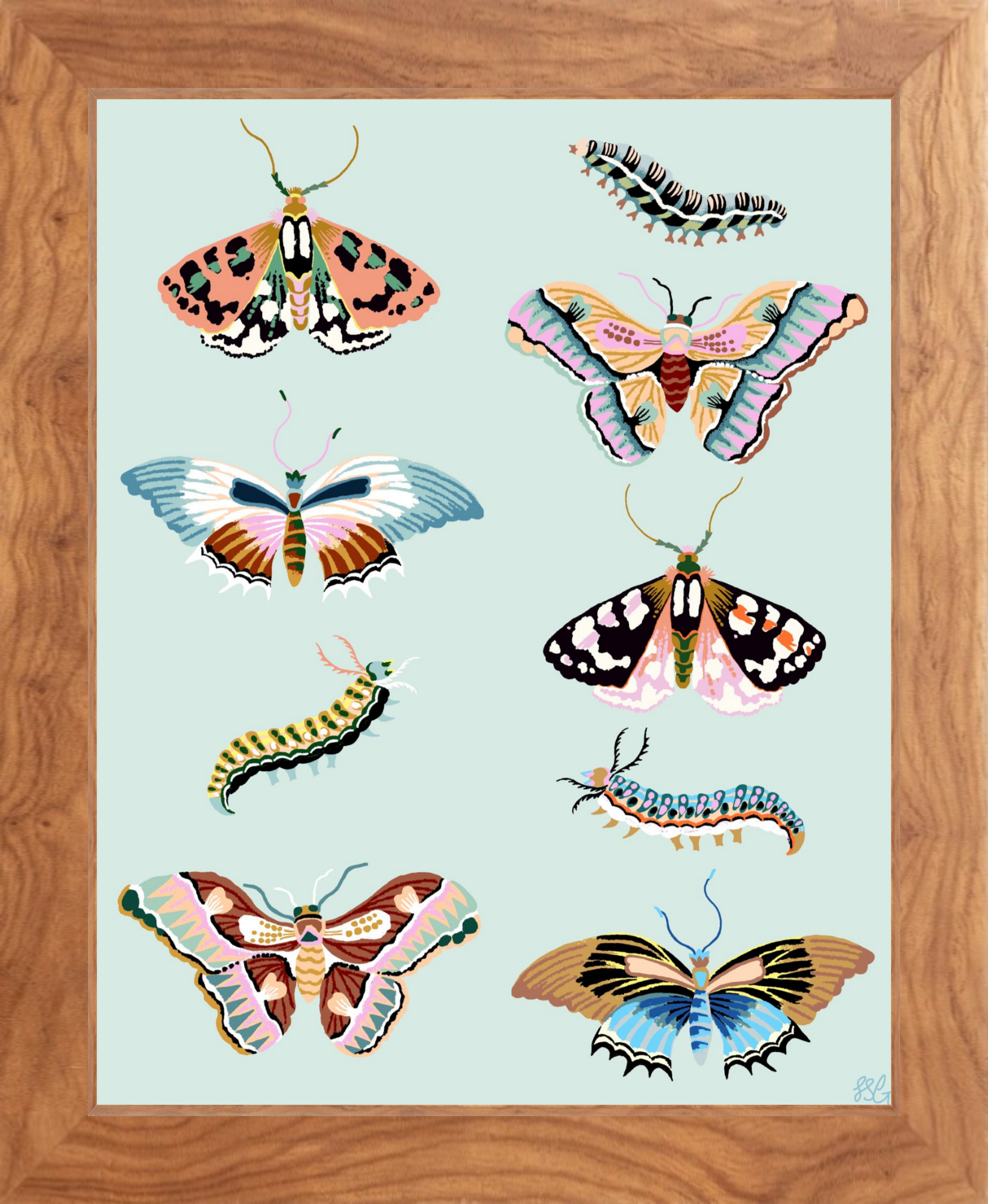 WONDERGARDEN BUTTERFLY 8" x 10"