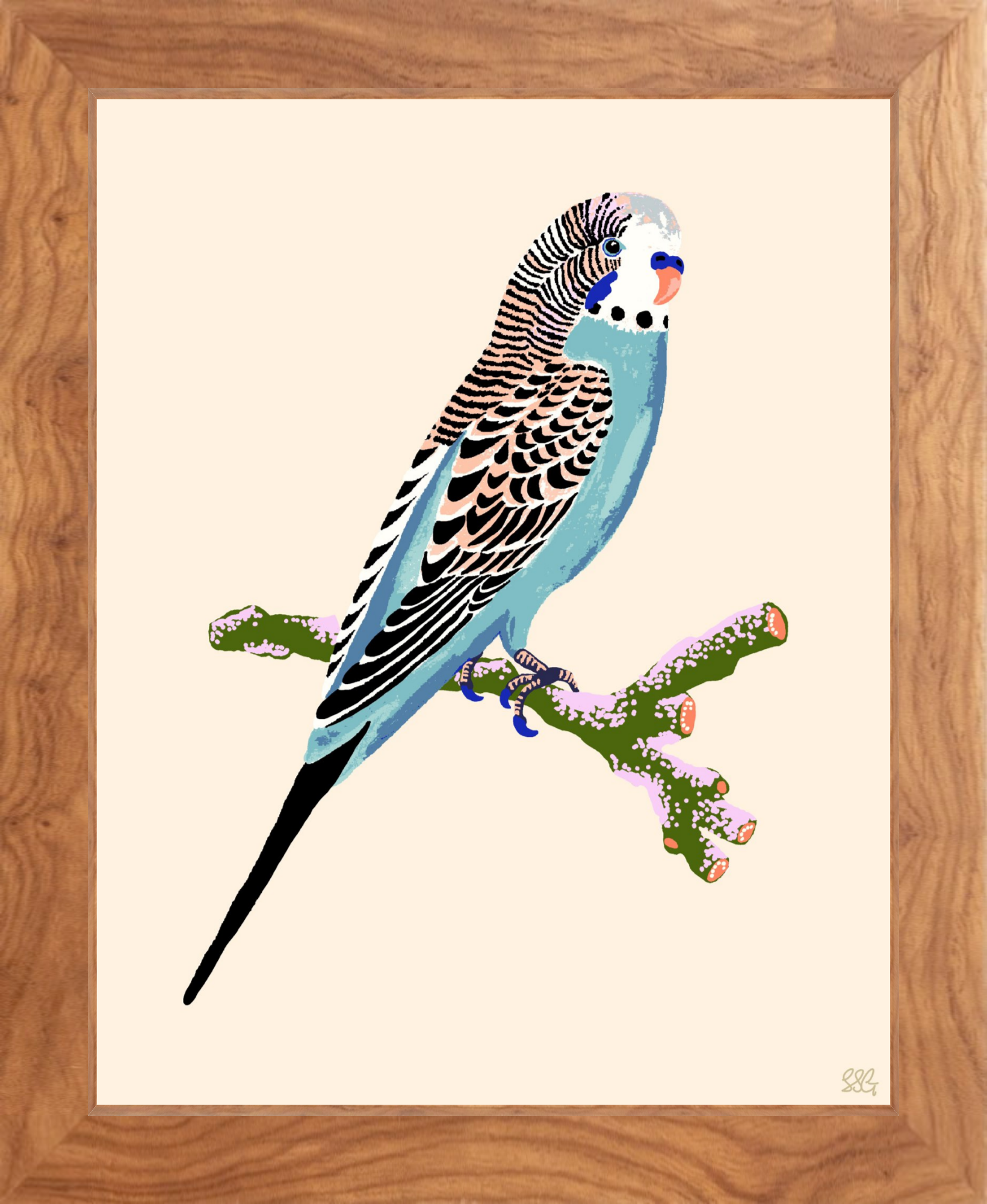 BUDGERIGAR 8" x 10" in 2 color options