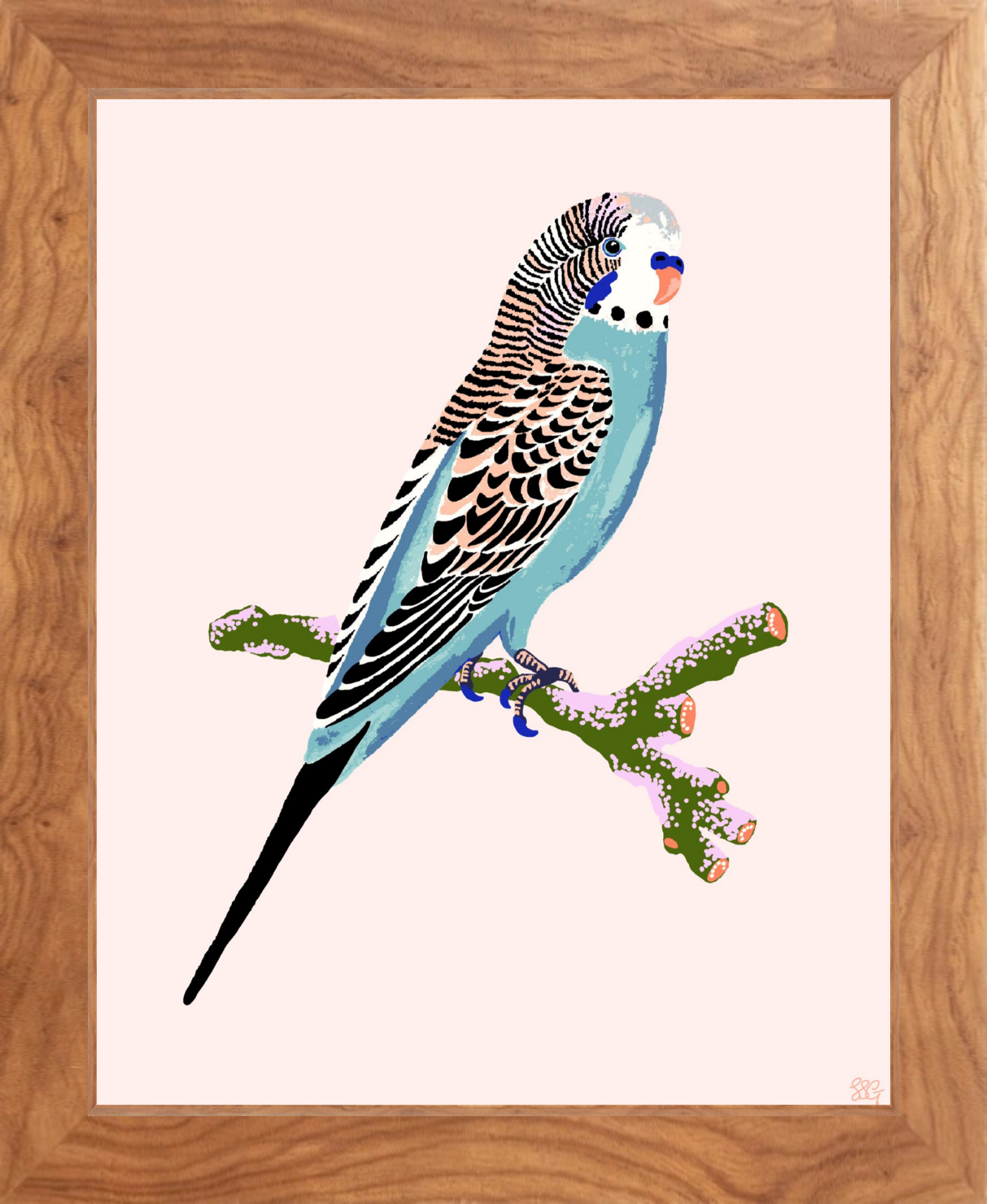 BUDGERIGAR 8" x 10" in 2 color options