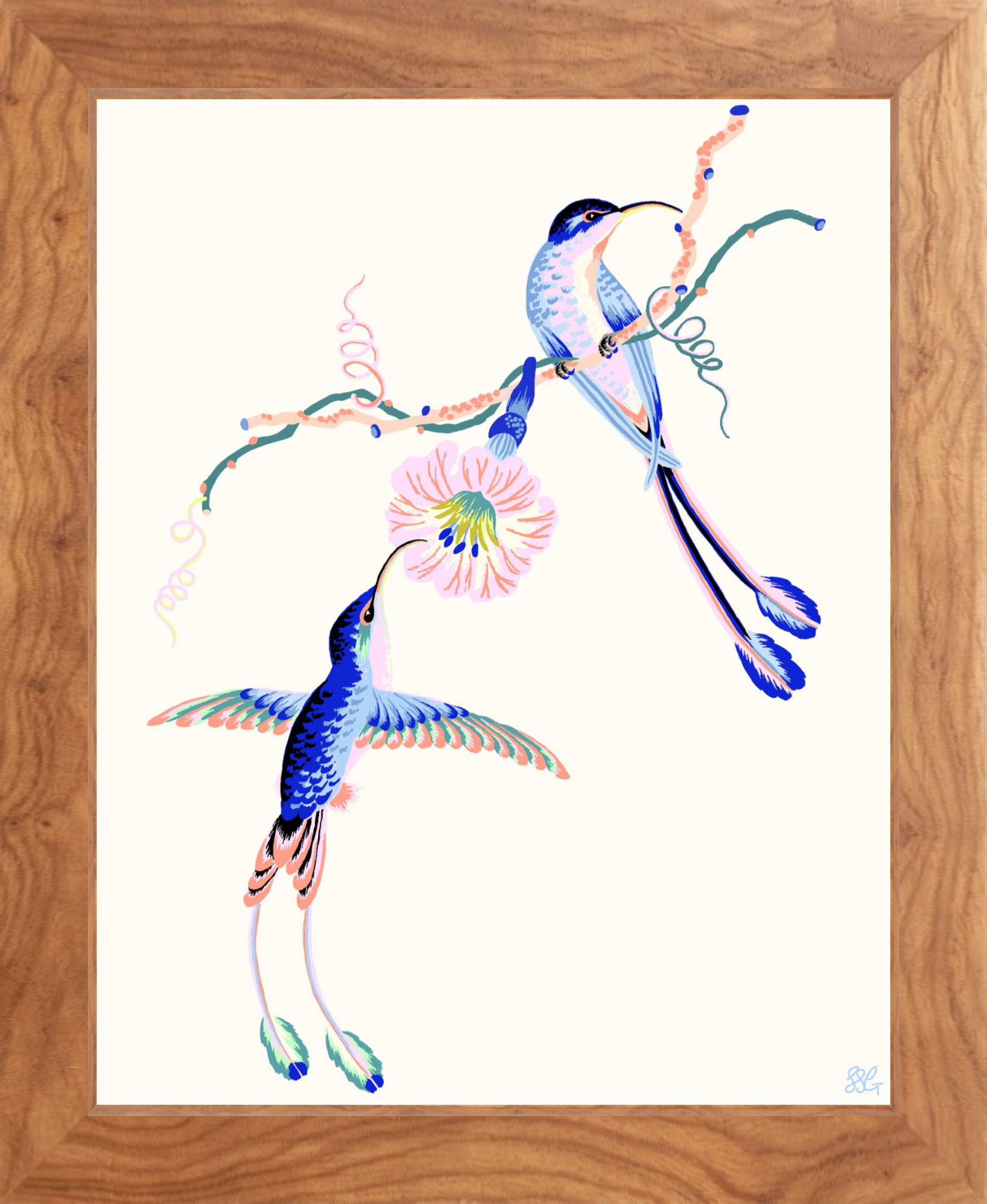 HUMMINGBIRDS 8" x 10" in 2 color options