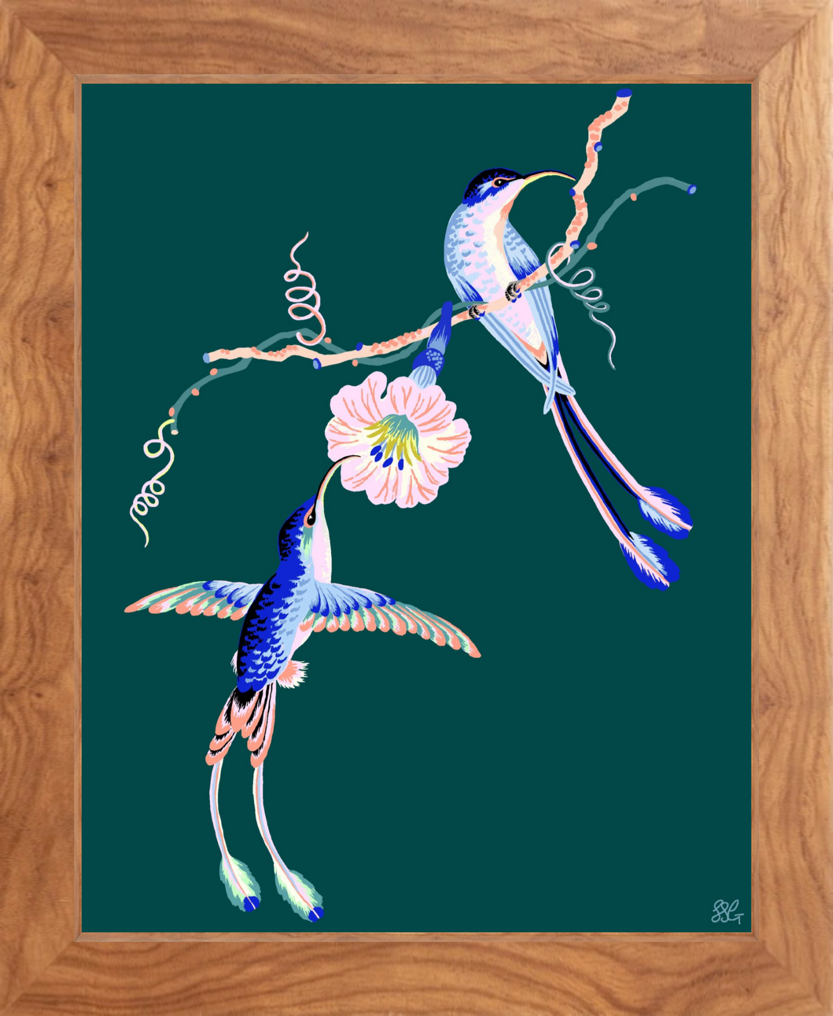 HUMMINGBIRDS 8" x 10" in 2 color options