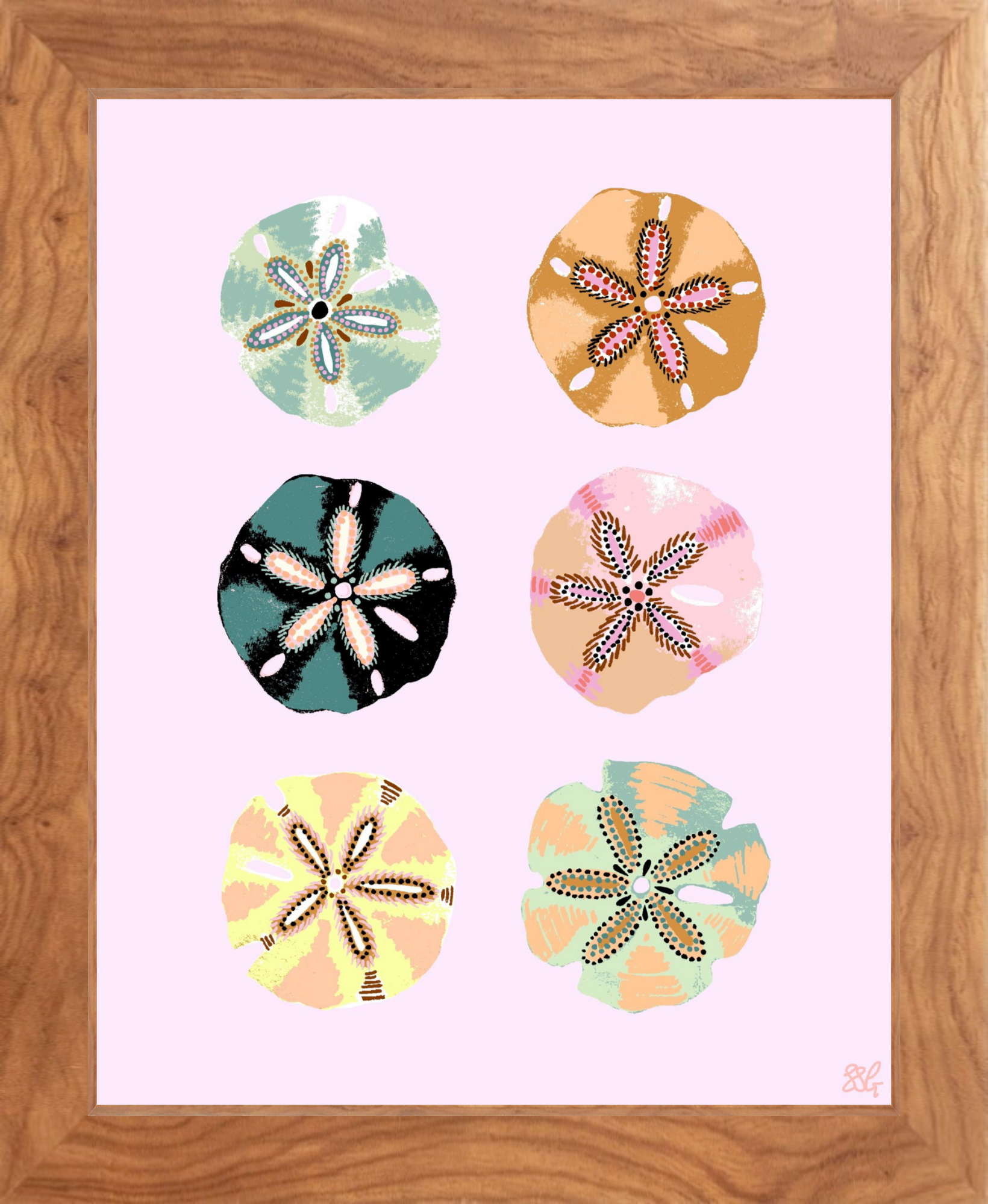 SAND DOLLAR 8" x 10" in 2 color options