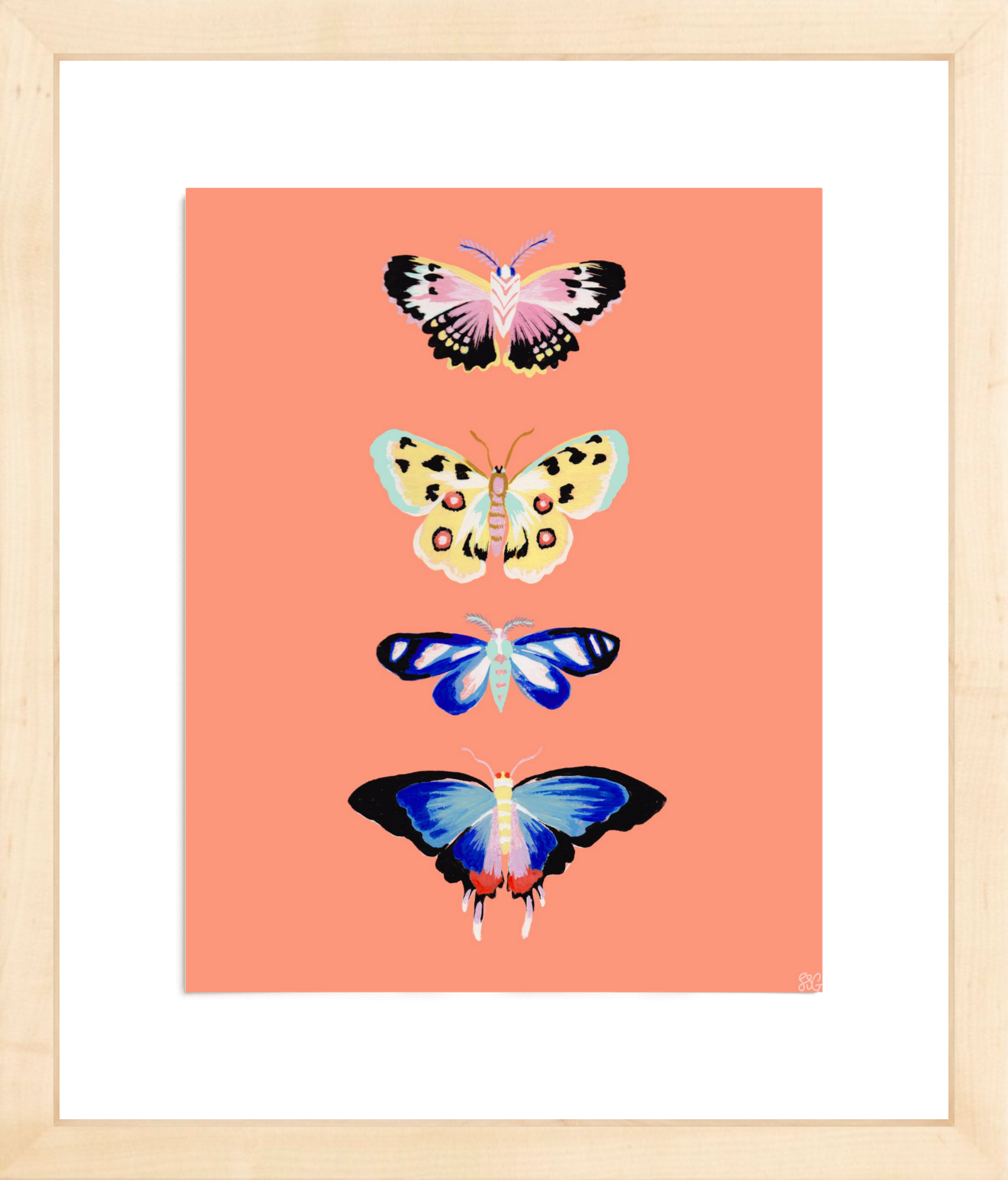 CORAL BUTTERFLY 8" x 10"