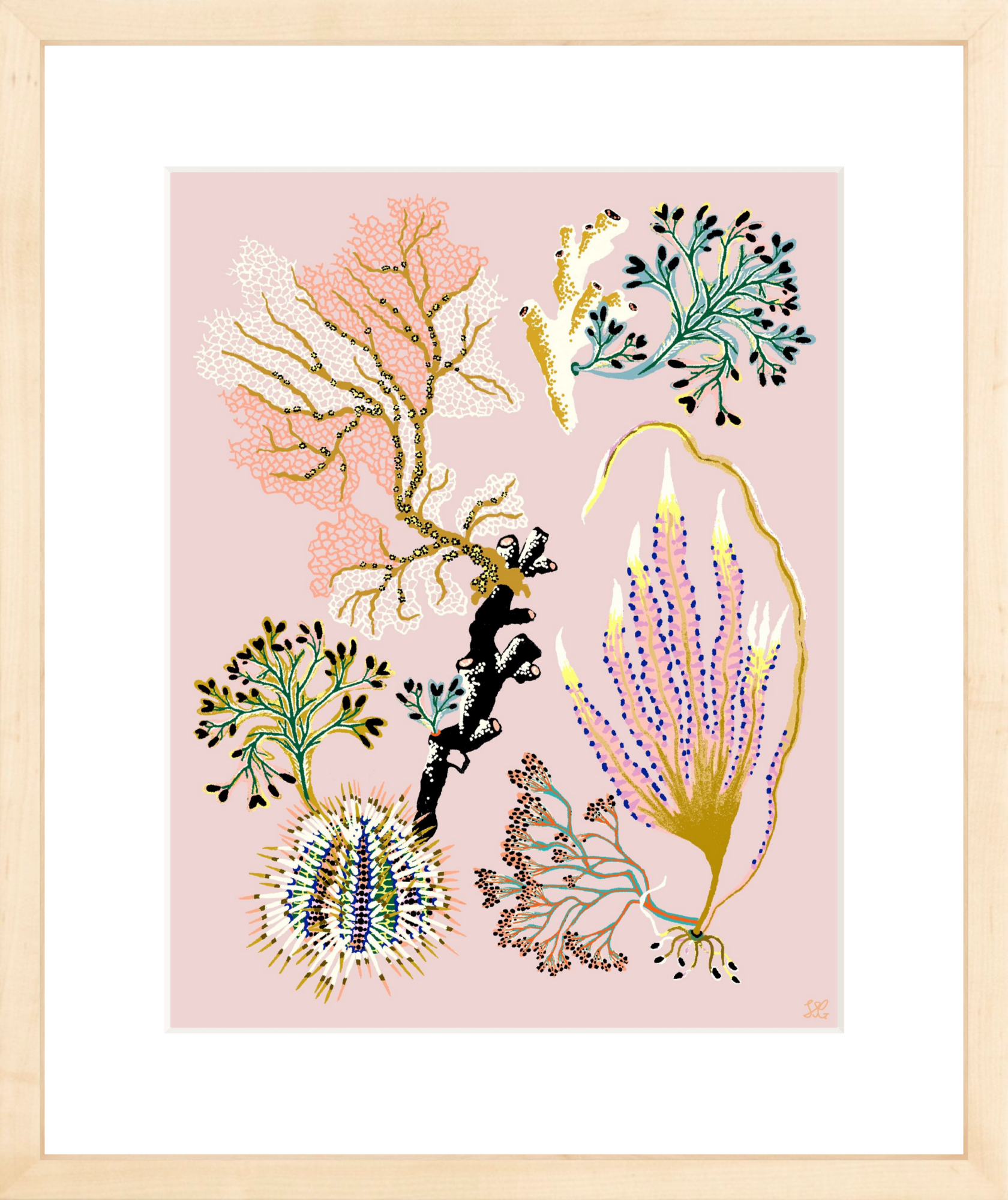 SEA GARDEN URCHIN 11" x 14"