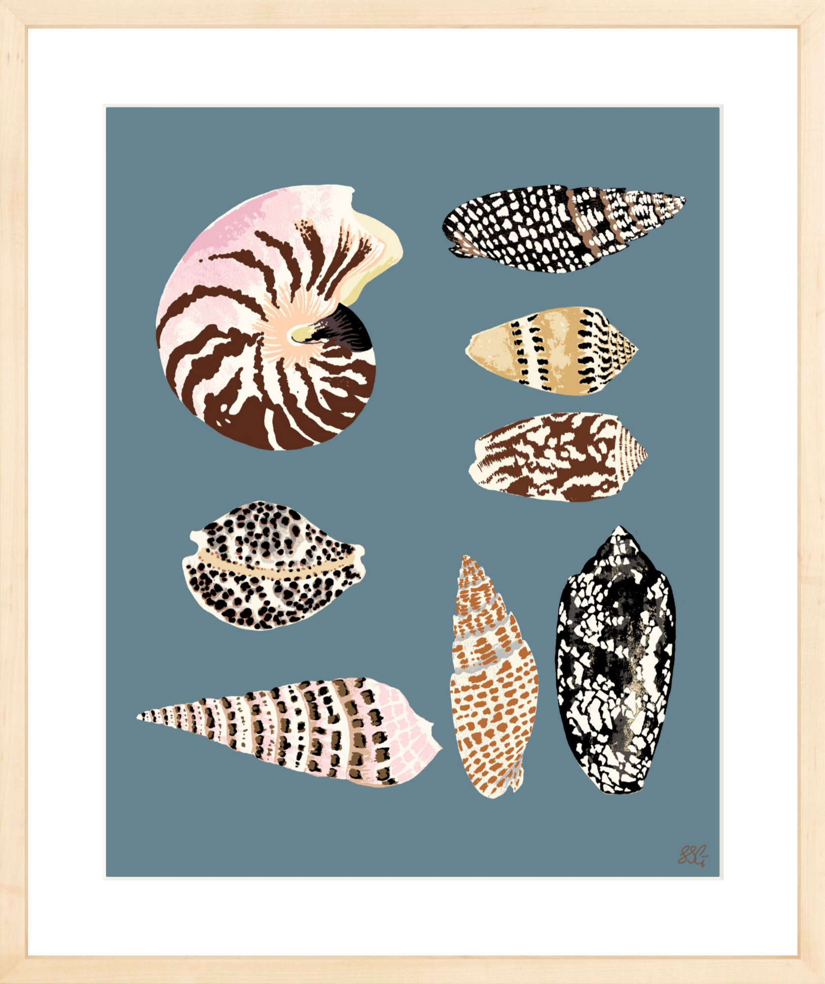 FIJI SHELLS 16" x 20" in 2 color options