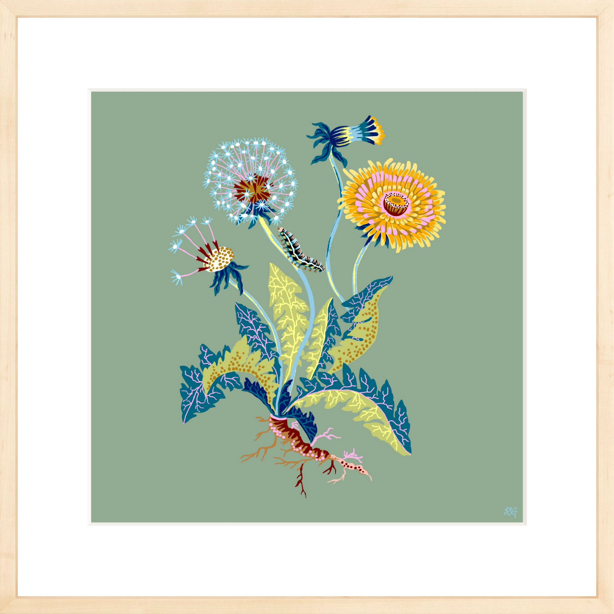 DANDELION 18" x 18"