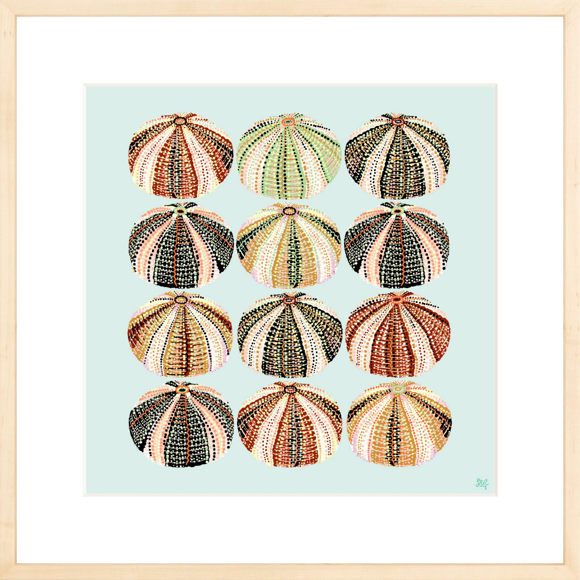 URCHIN 12 WAYS 18" X 18" in 2 color options