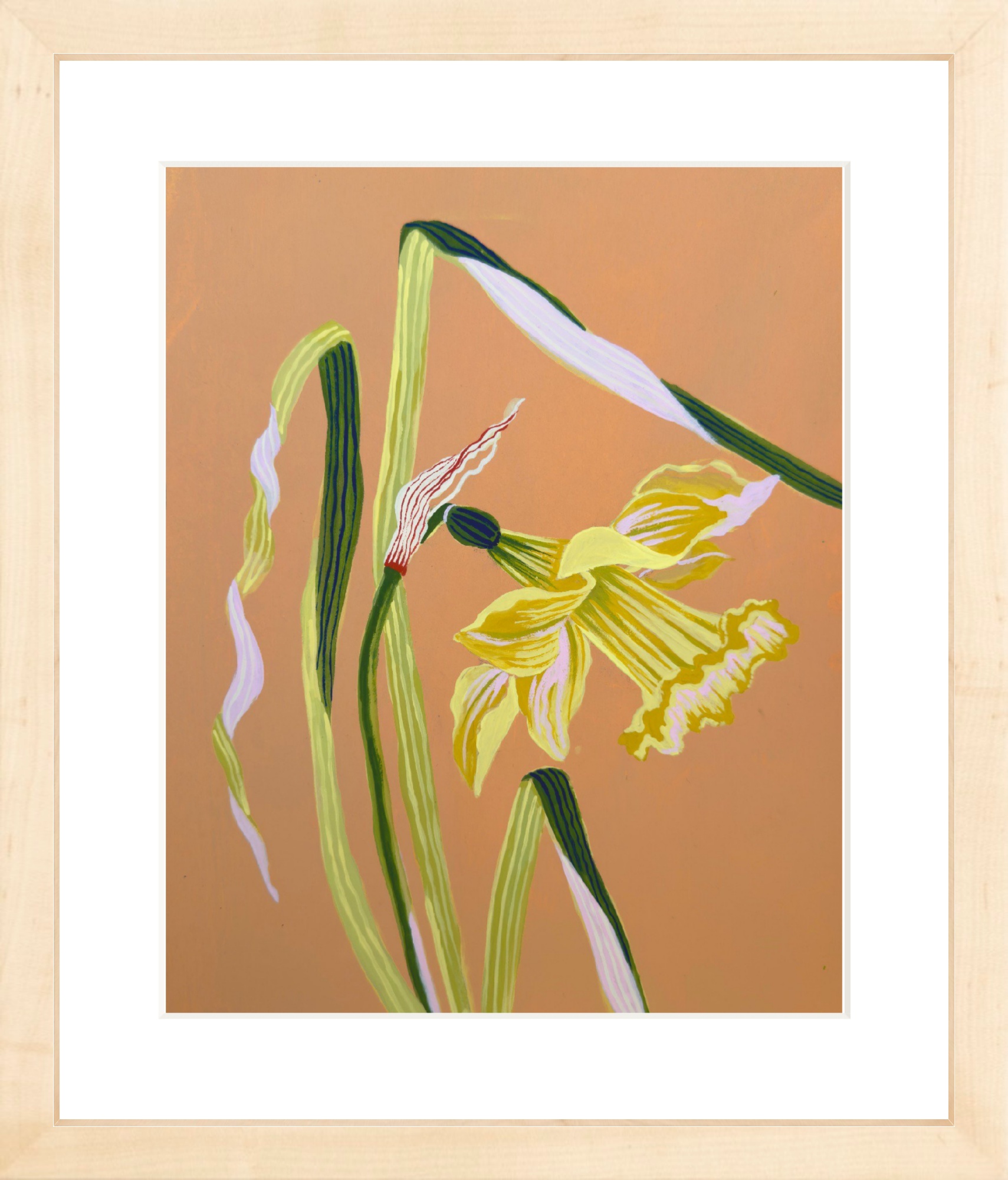 DAFFODIL STUDY 7.75" x 11"