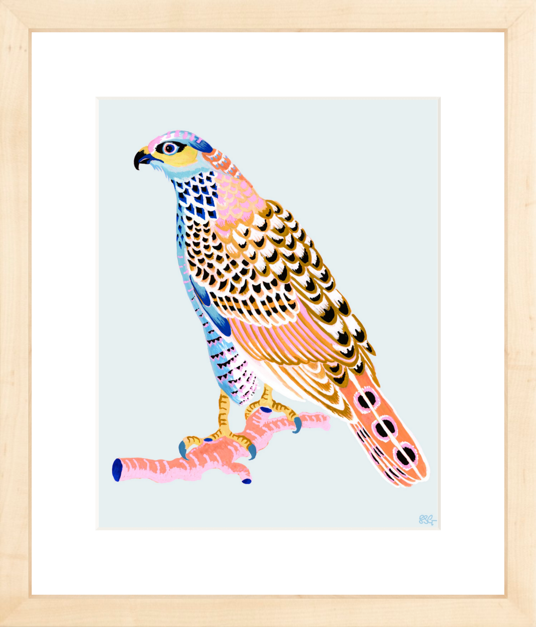 FANCY HAWK 8" x 10" in 2 color options