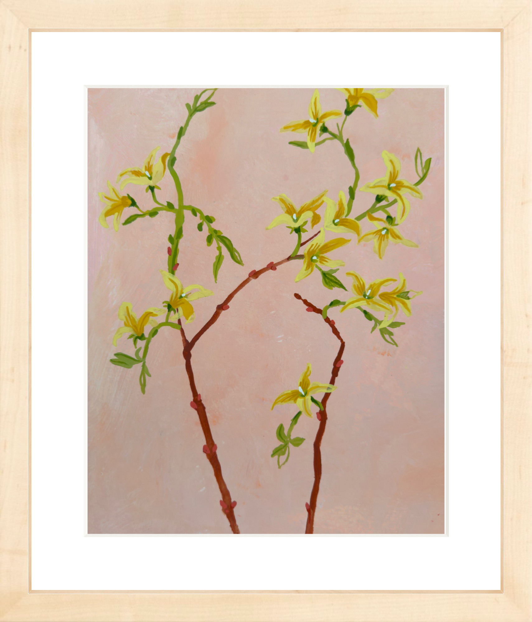FORSYTHIA STUDY 8" x 11"