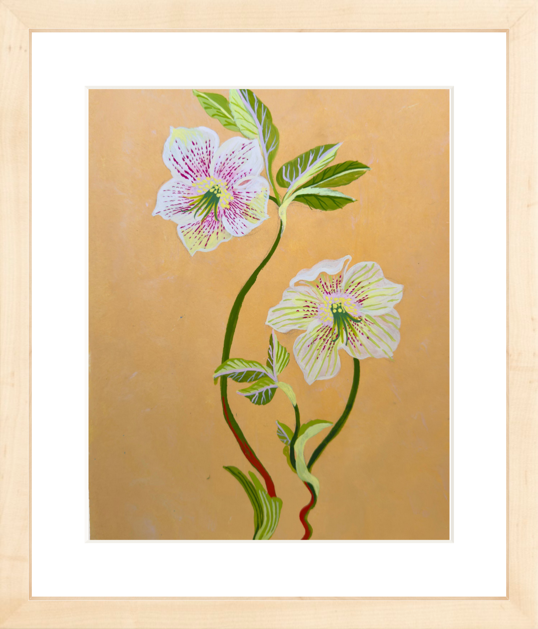 HELLEBORE STUDY on yellow 8" x 11"