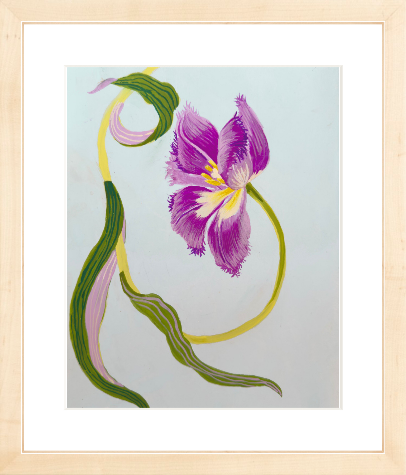 FRILLY TULIP STUDY on pale blue 8" x 11"