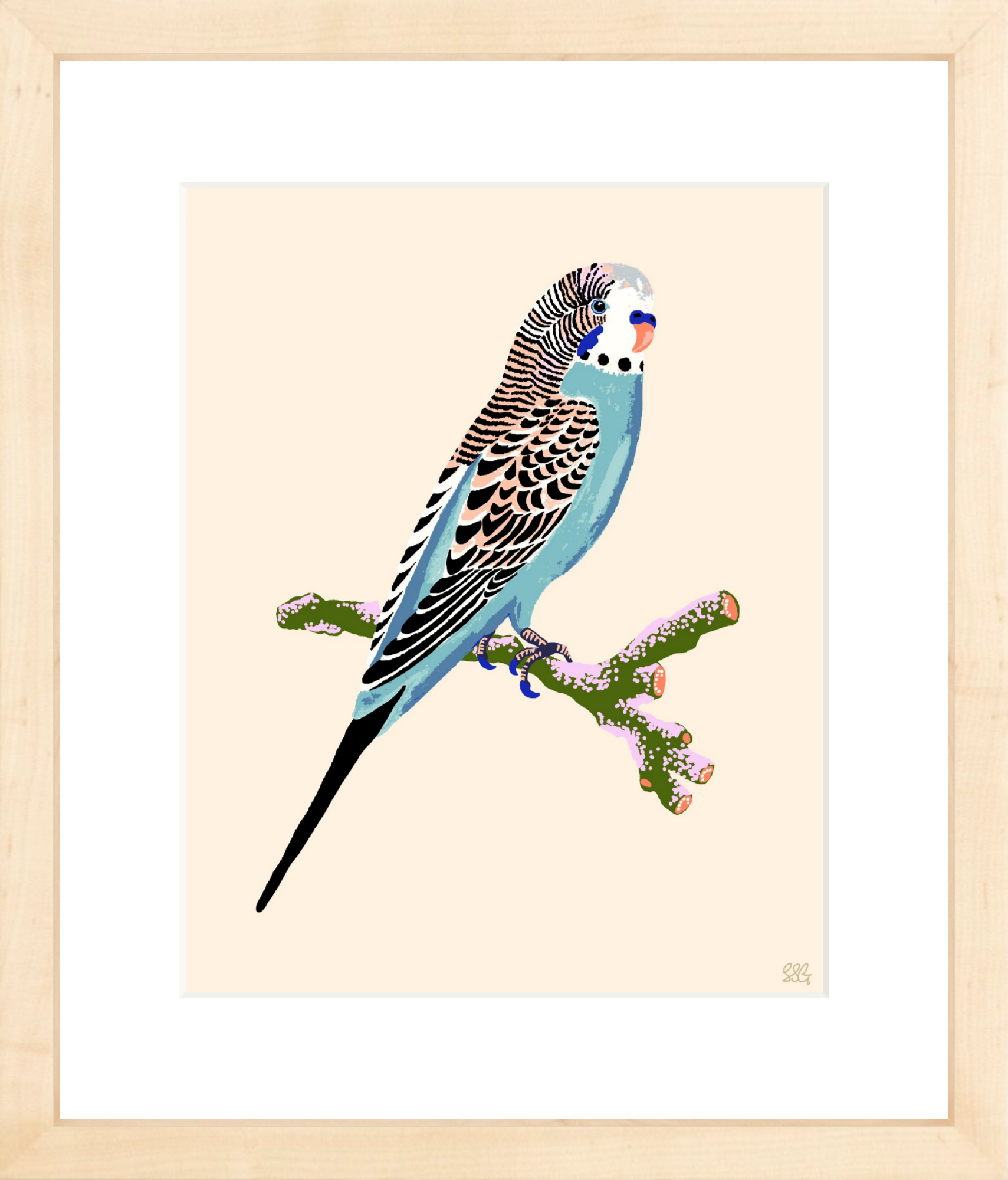 BUDGERIGAR 8" x 10" in 2 color options