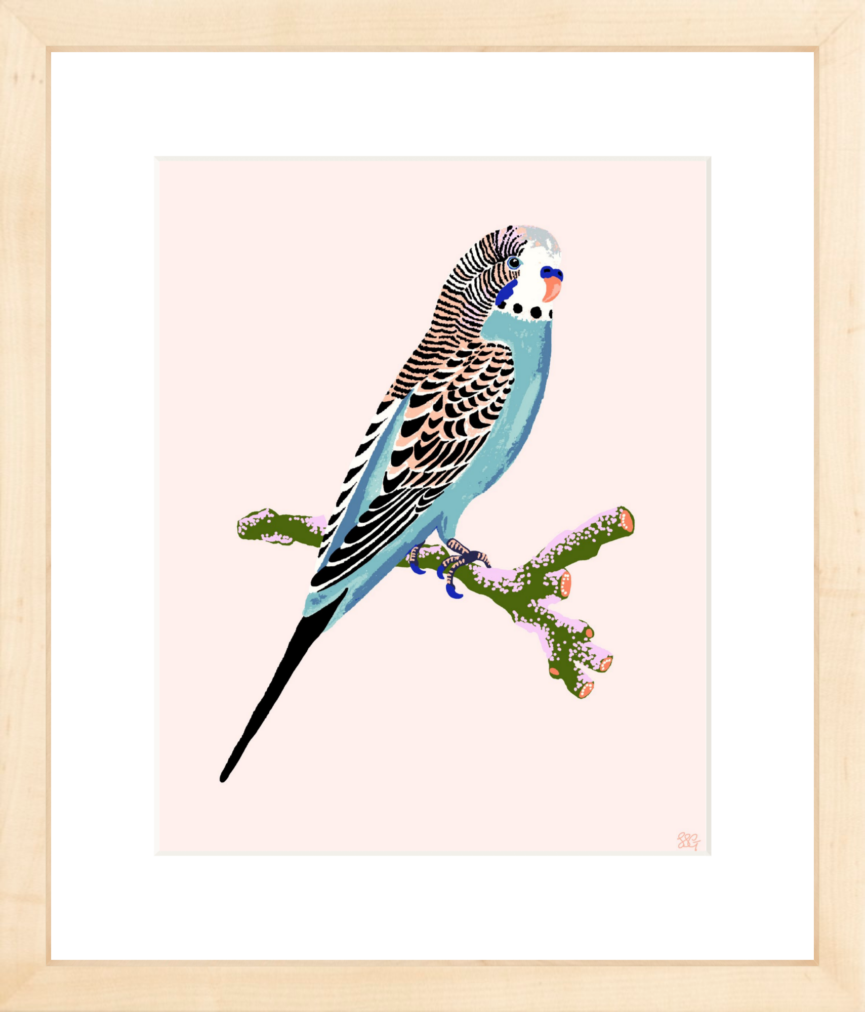 BUDGERIGAR 8" x 10" in 2 color options