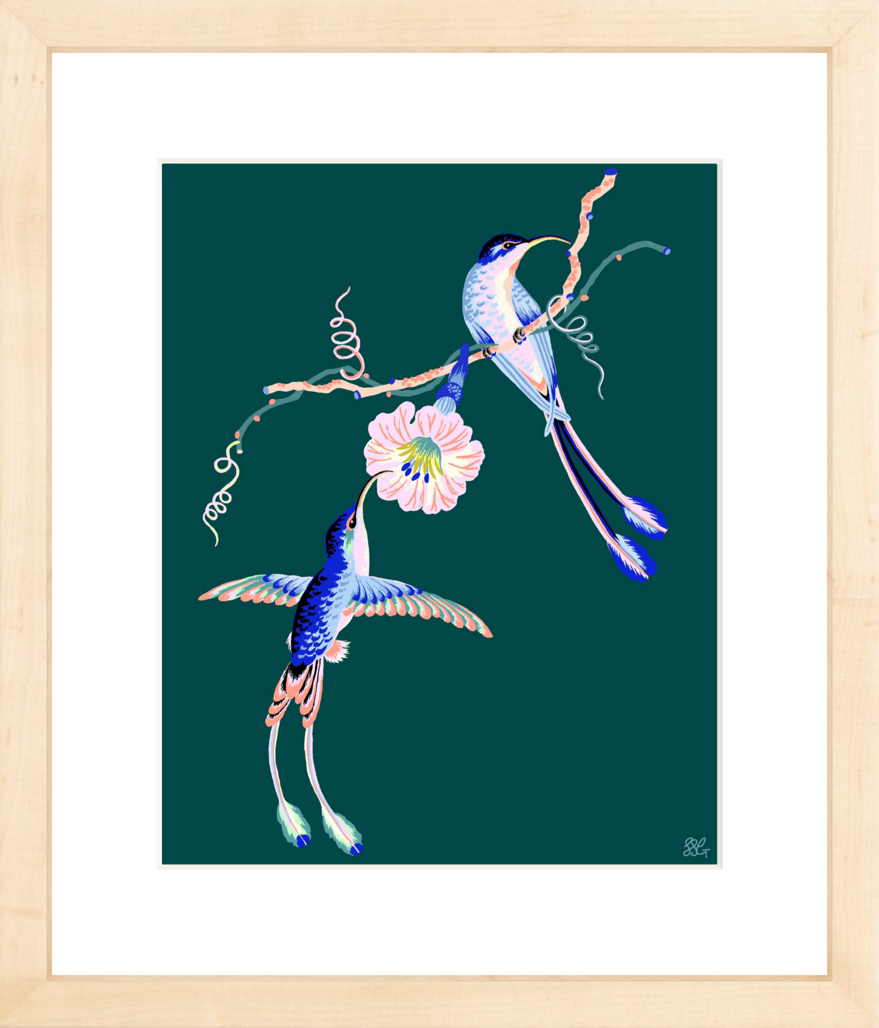 HUMMINGBIRDS 8" x 10" in 2 color options