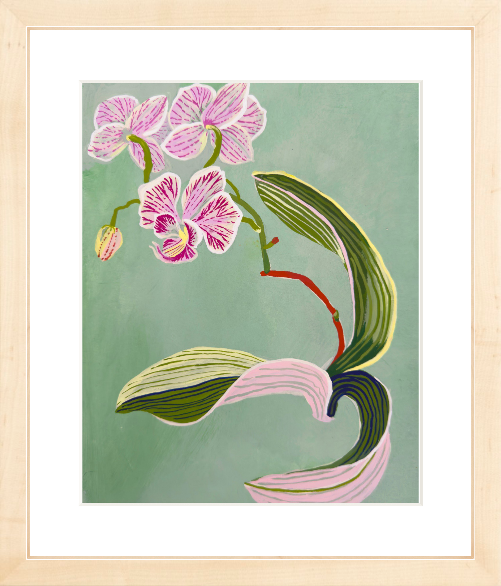ORCHID STUDY on green 8" x 11"