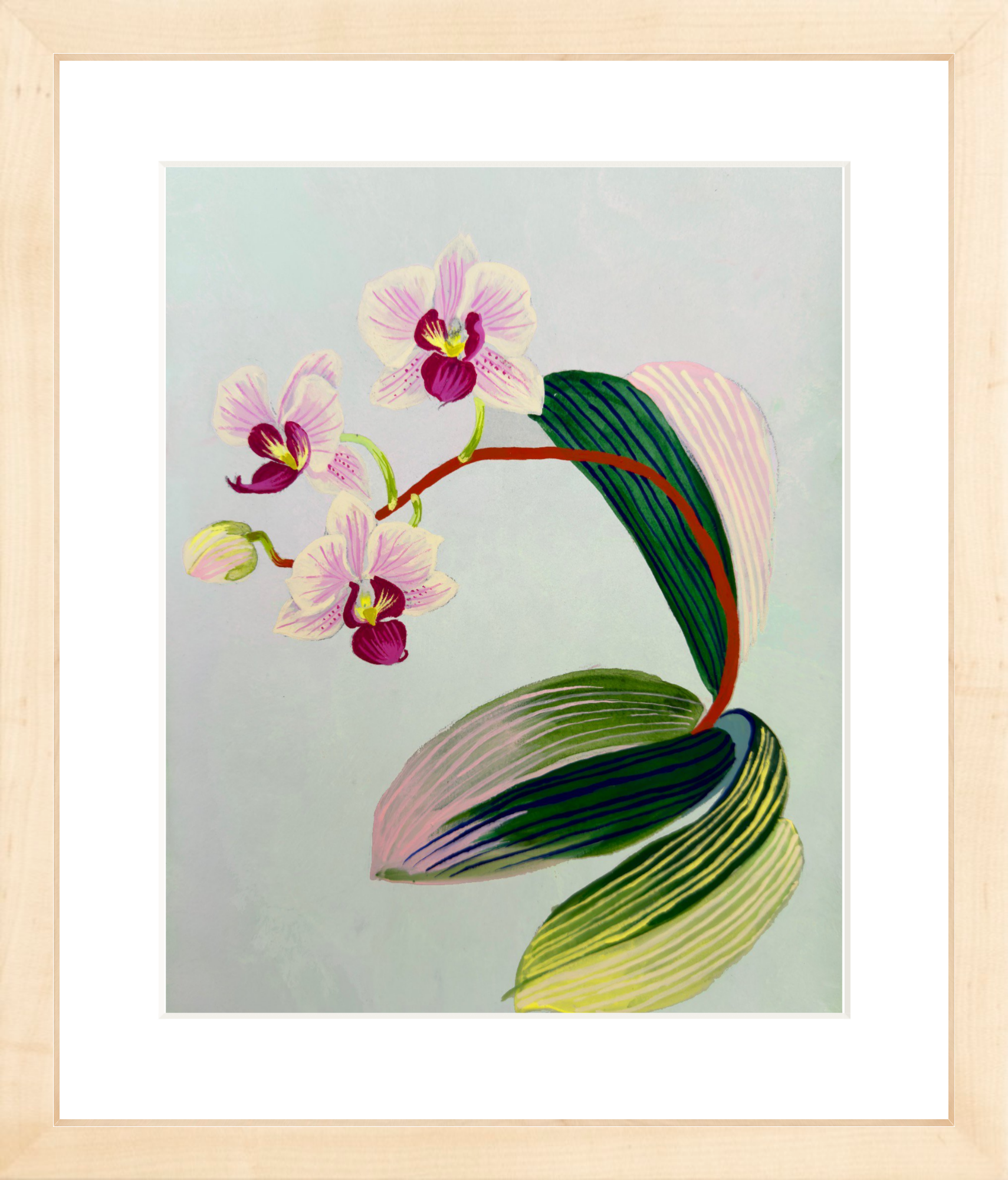 ORCHID STUDY on pale blue 8" x 11"