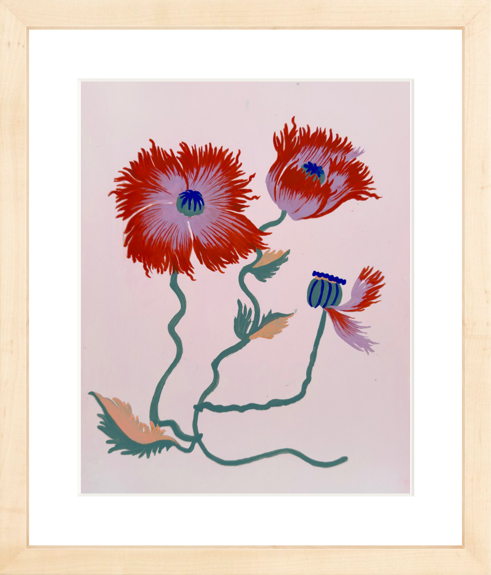 FRILLY POPPY STUDY 8" x 11"
