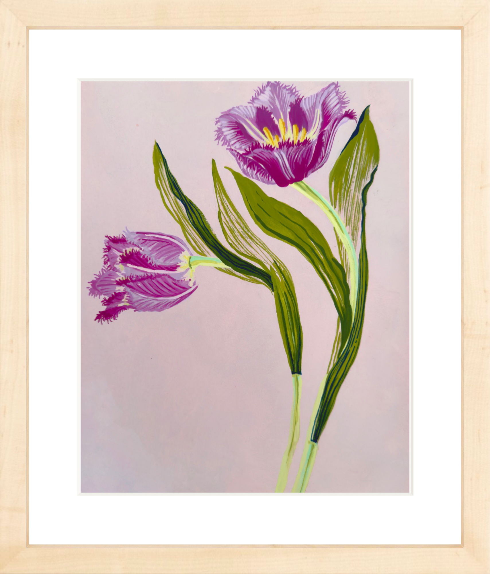 FRILLY TULIP STUDY on pink 8" x 11"