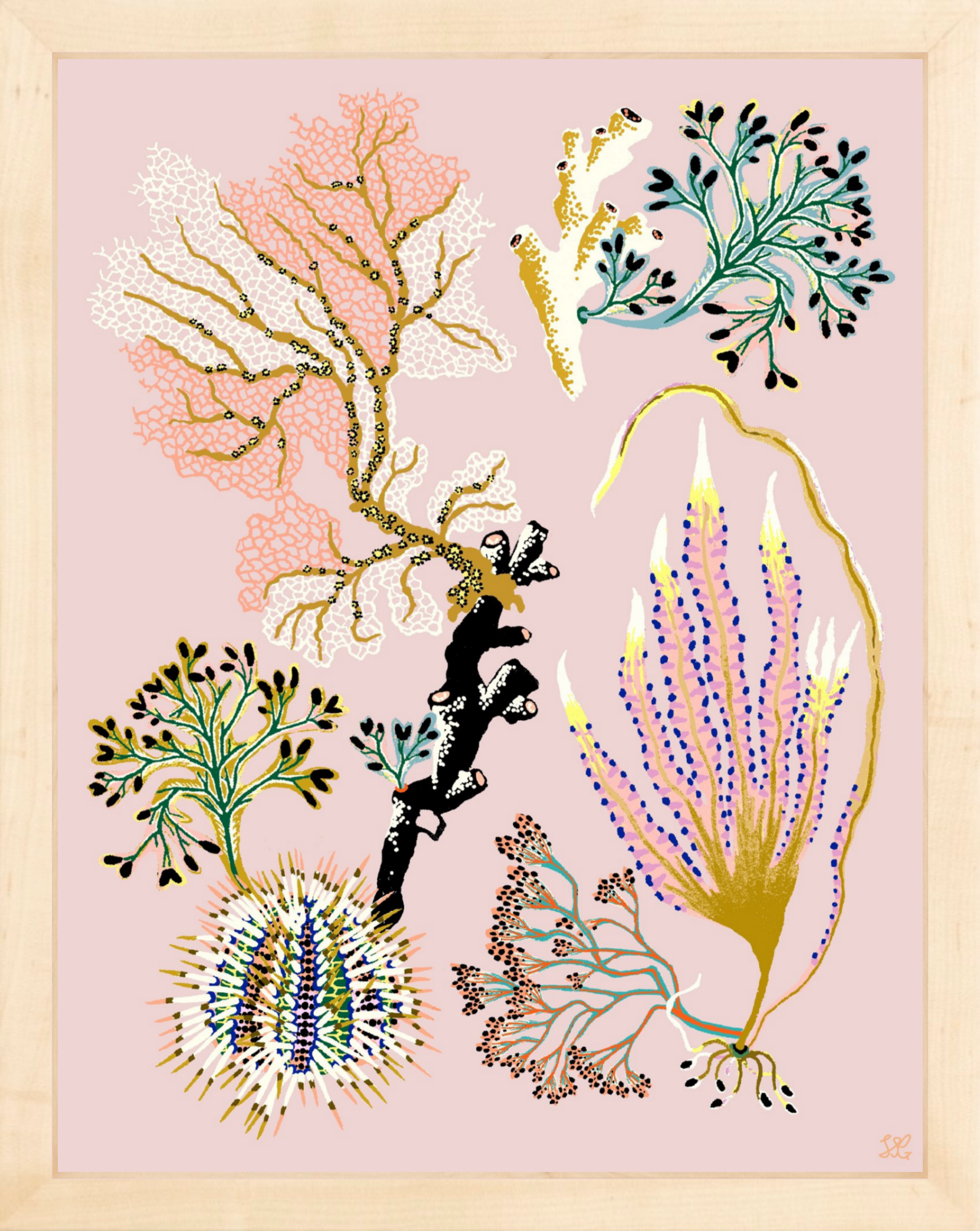 SEA GARDEN URCHIN 11" x 14"