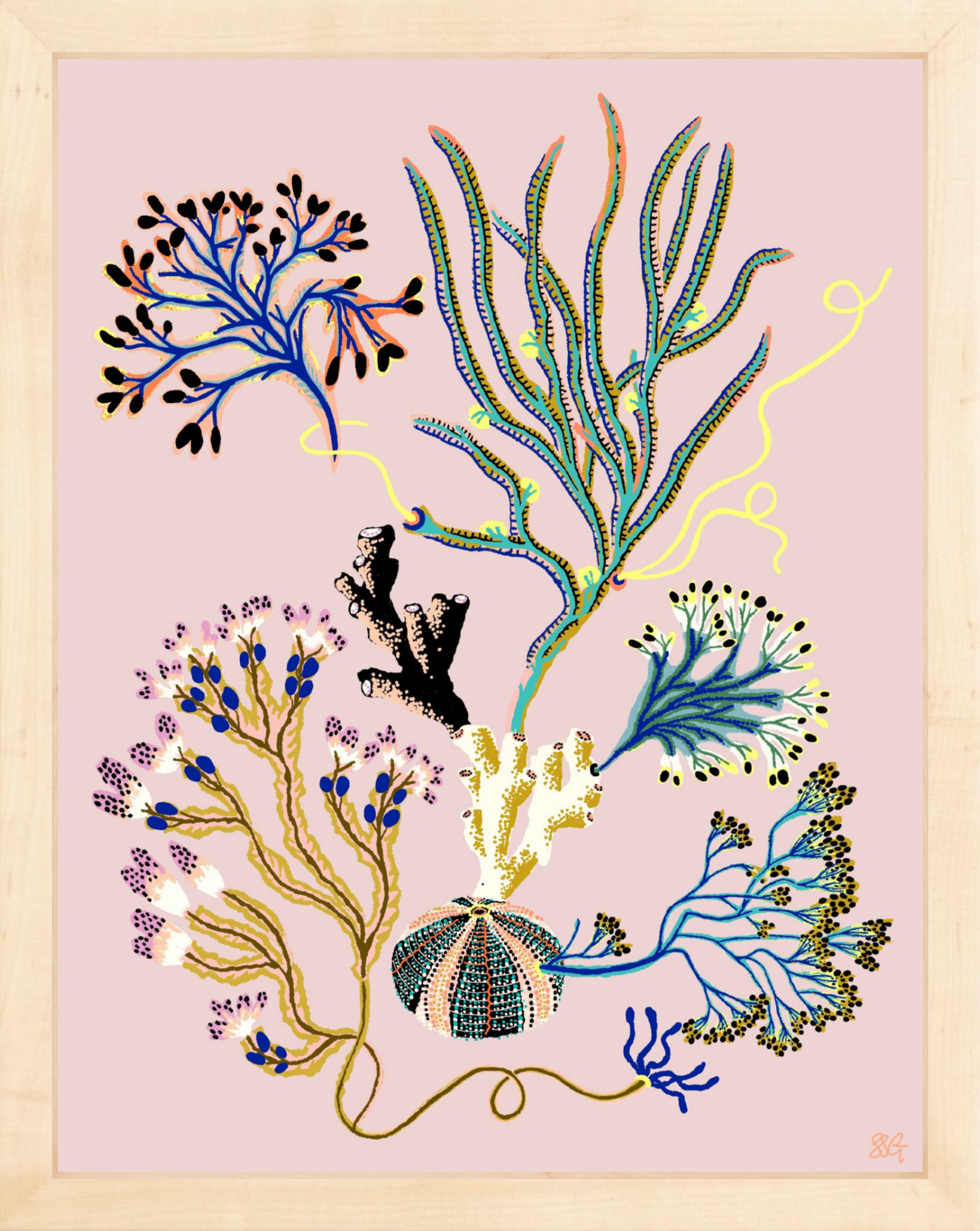 SEA GARDEN VIGNETTE 11" x 14"