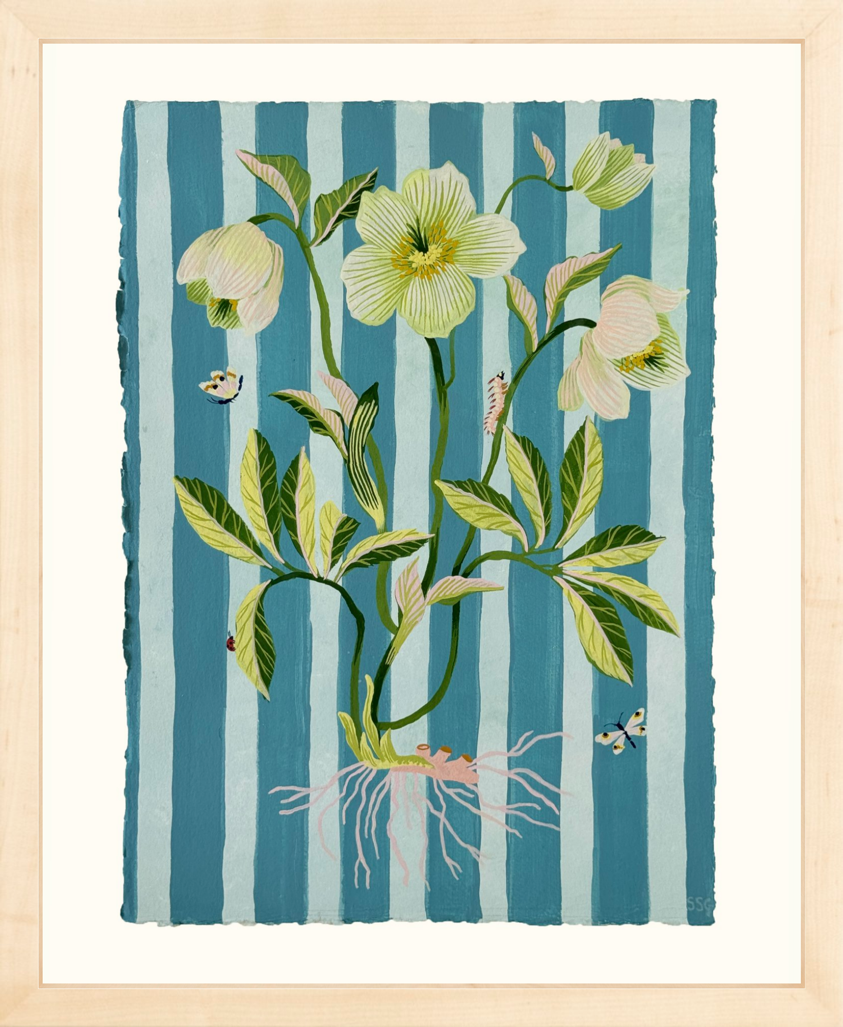 HELLEBORE STRIPES 11" x 15.2"
