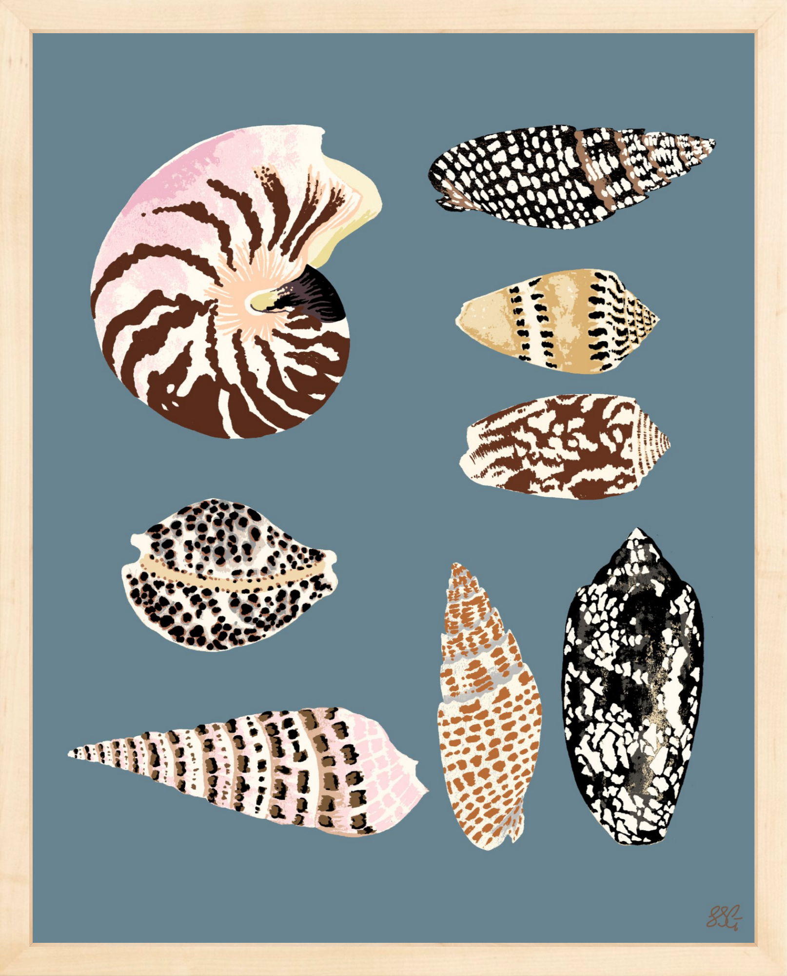 FIJI SHELLS 16" x 20" in 2 color options