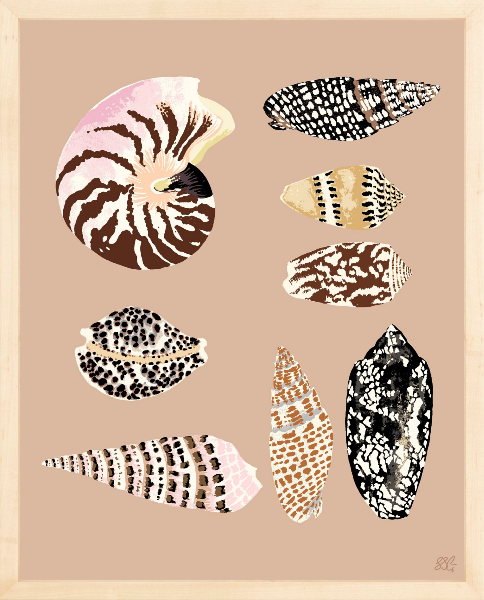 FIJI SHELLS 16" x 20" in 2 color options