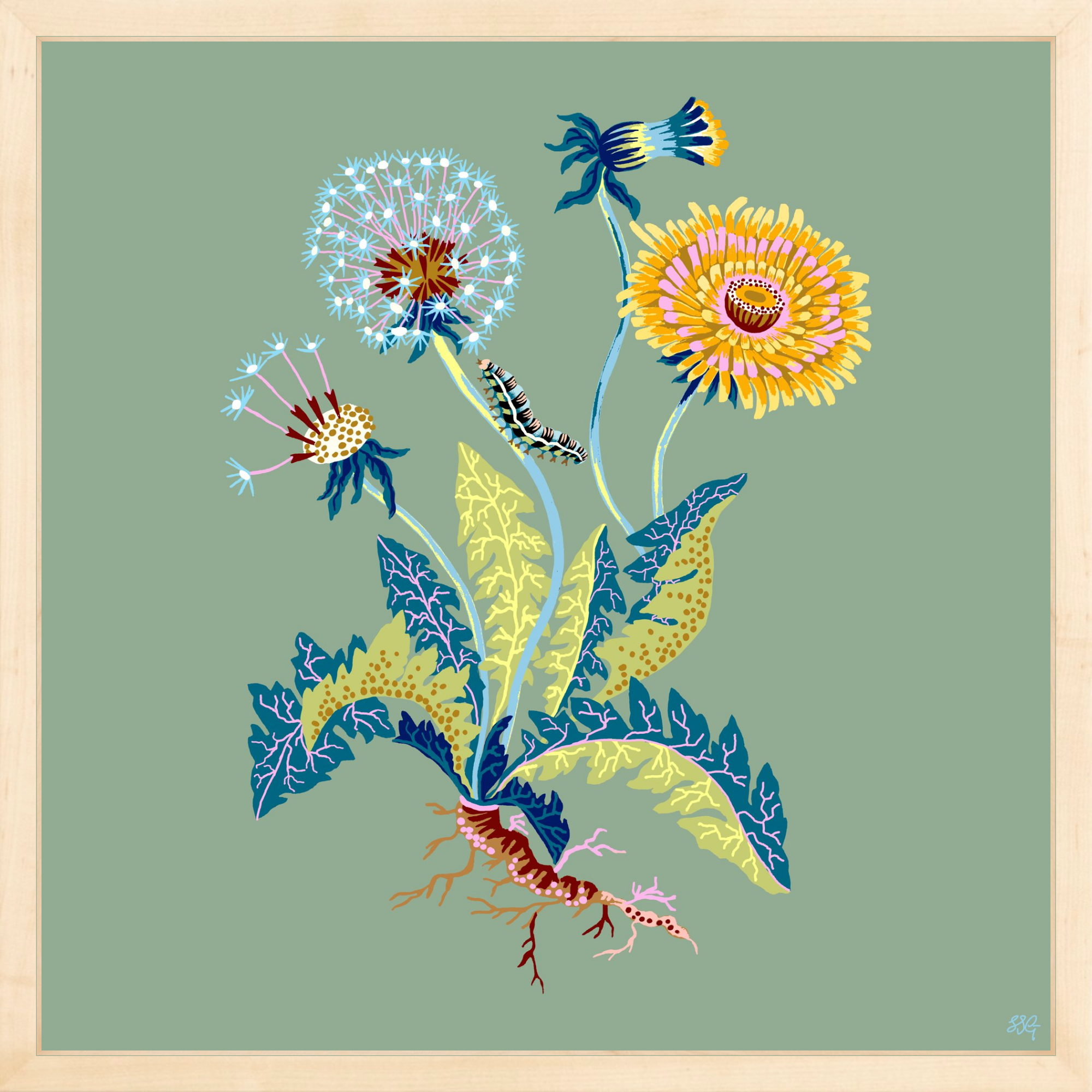 DANDELION 18" x 18"