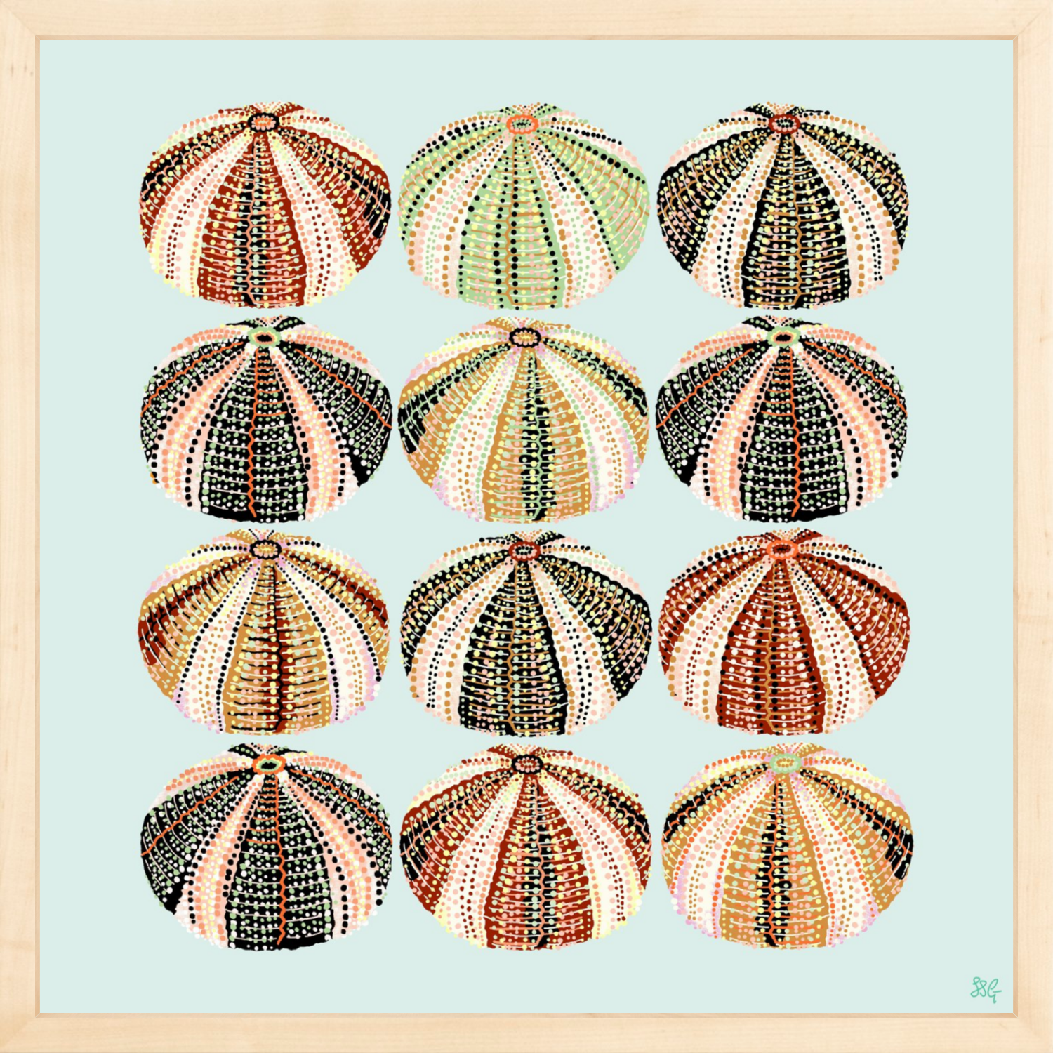 URCHIN 12 WAYS 18" X 18" in 2 color options
