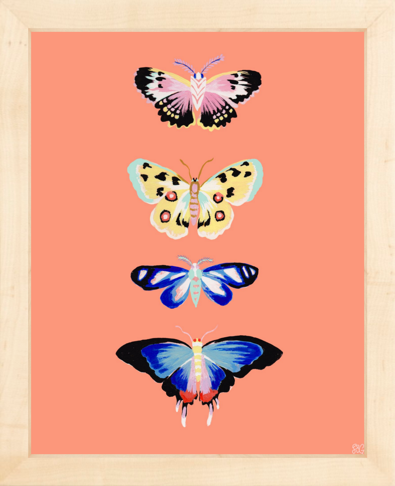 CORAL BUTTERFLY 8" x 10"