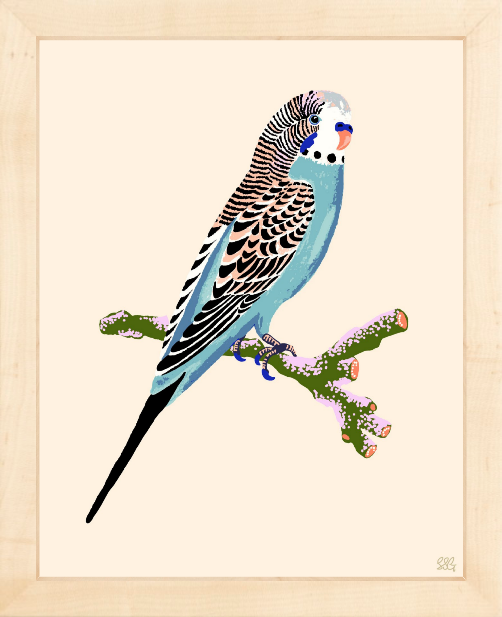 BUDGERIGAR 8" x 10" in 2 color options