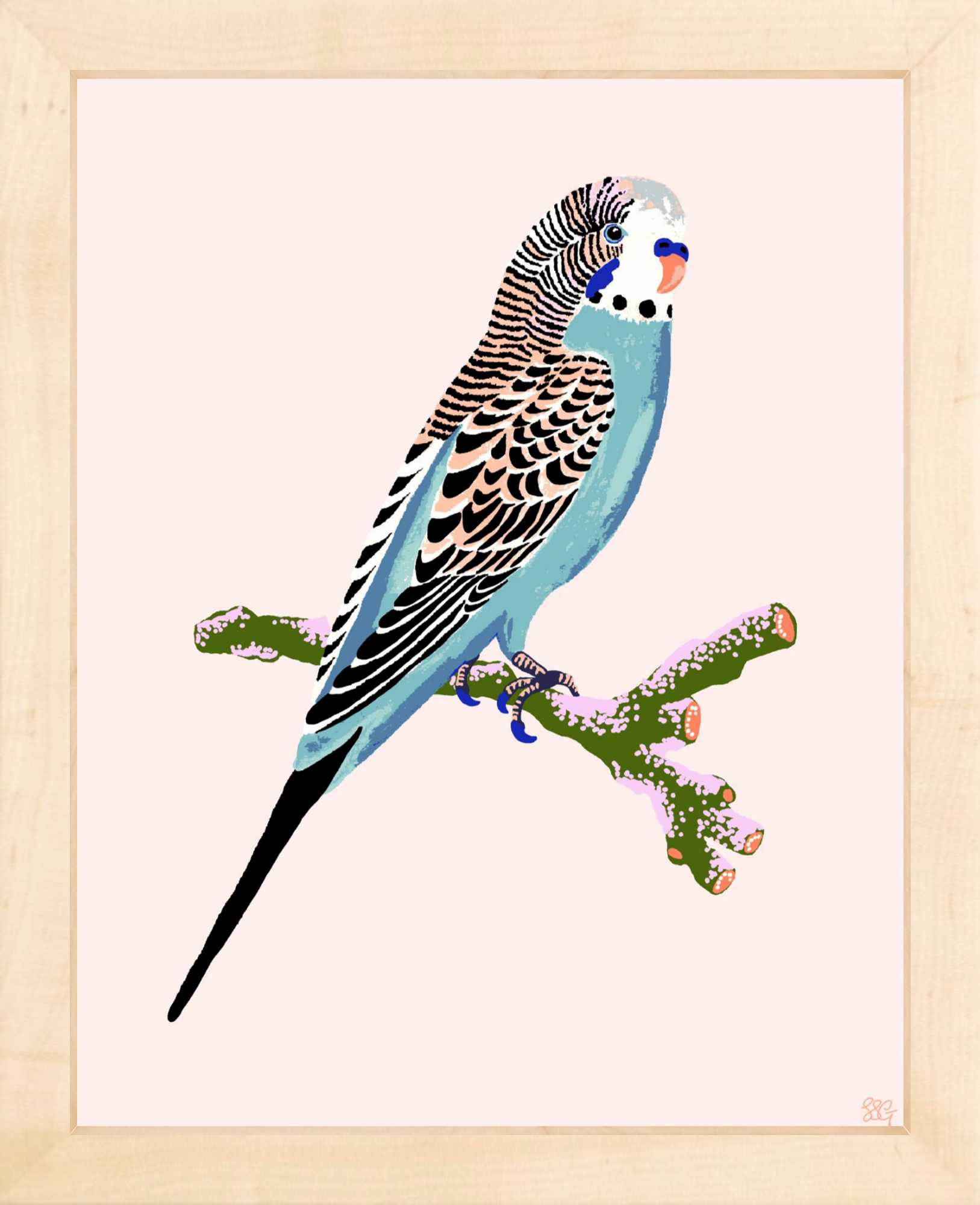 BUDGERIGAR 8" x 10" in 2 color options