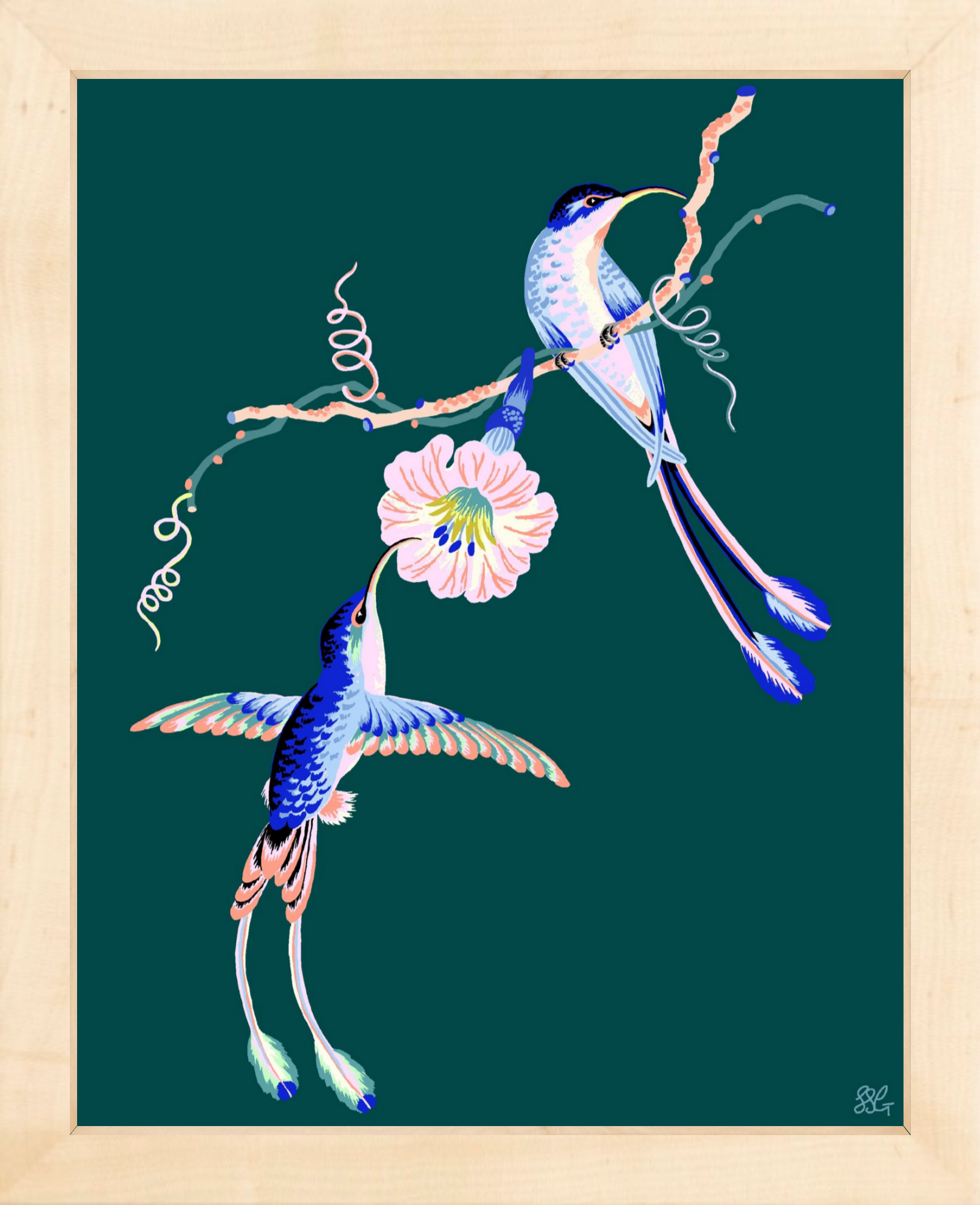HUMMINGBIRDS 8" x 10" in 2 color options