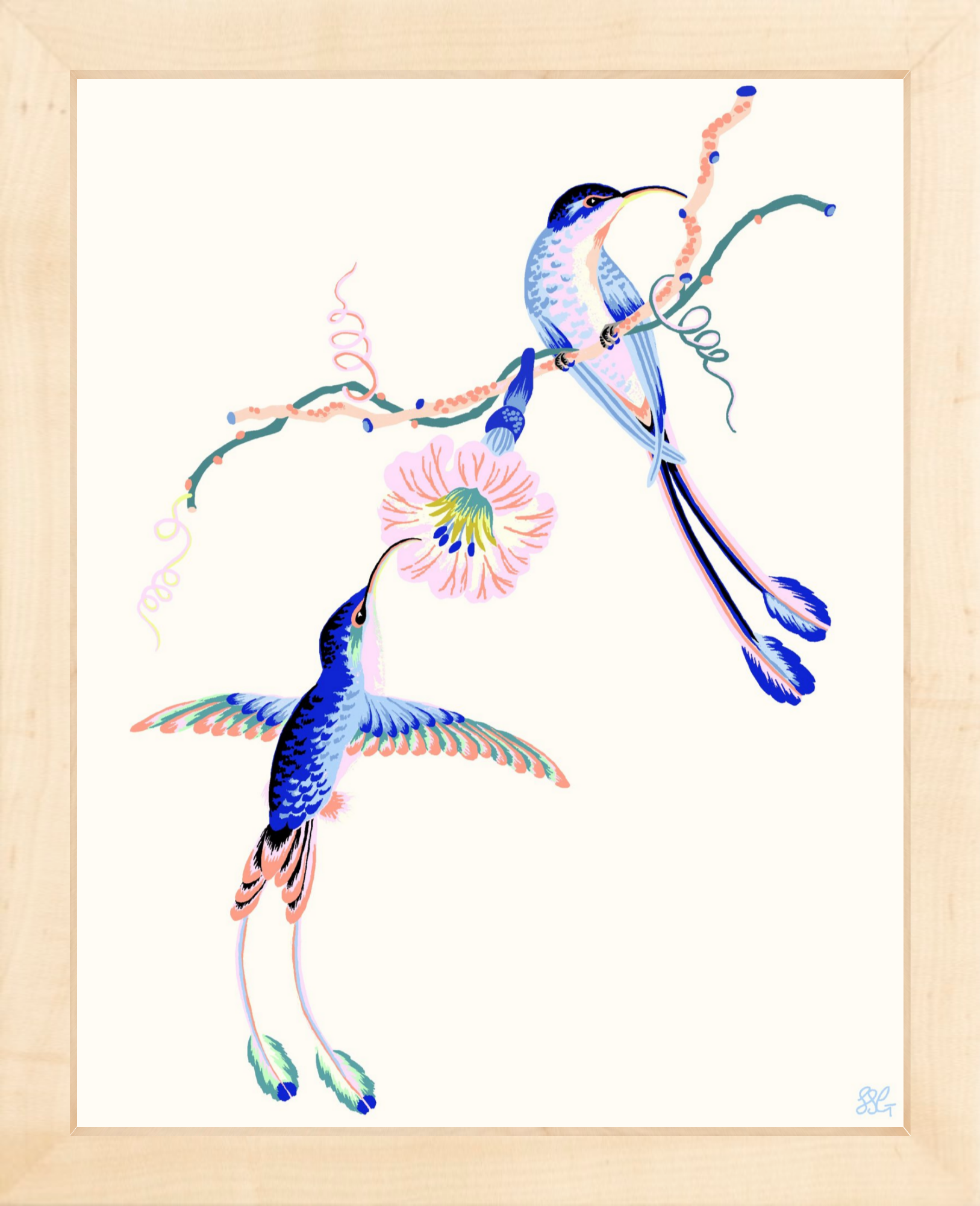 HUMMINGBIRDS 8" x 10" in 2 color options