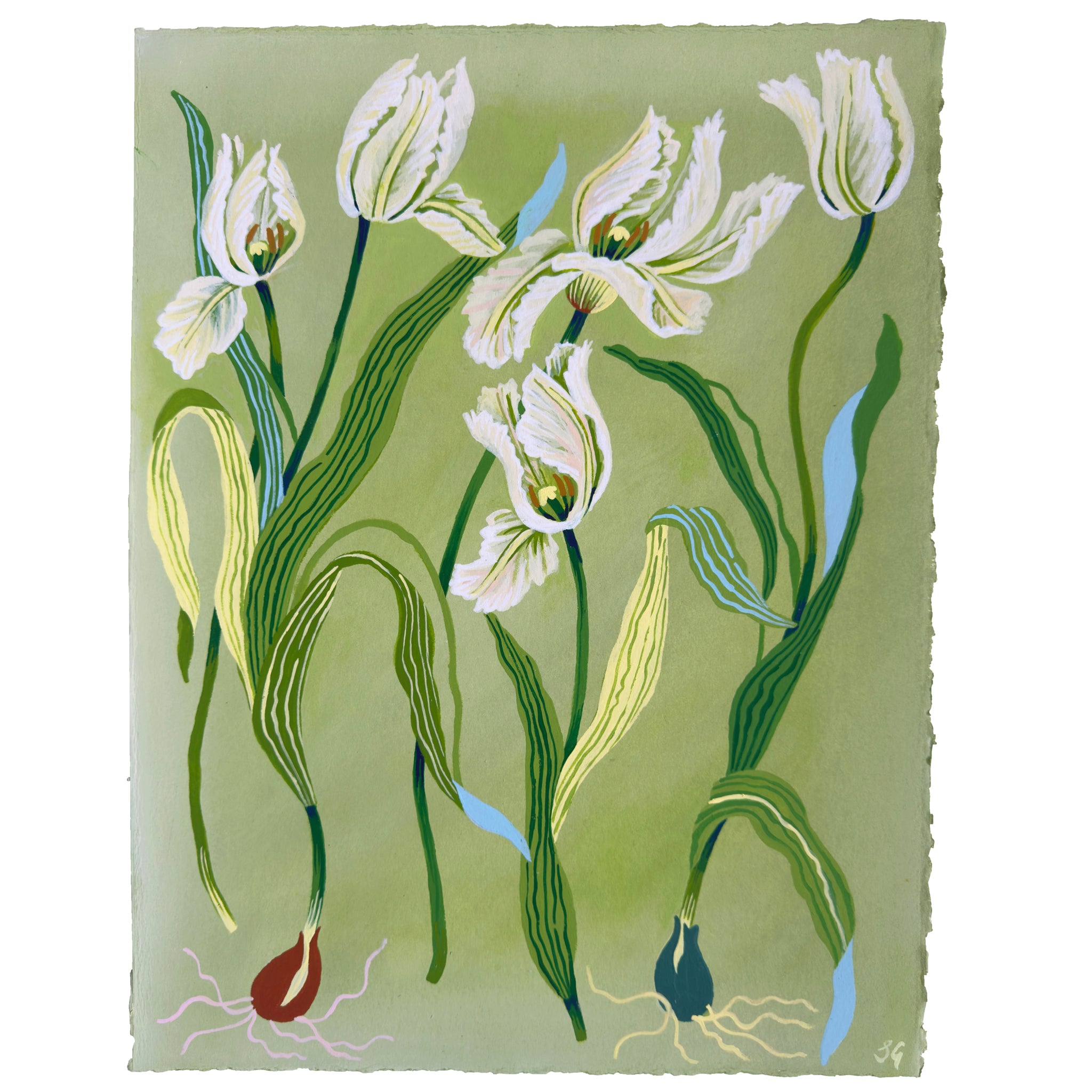 SPRING TULIPS no.1 on soft green 11.25"x15"