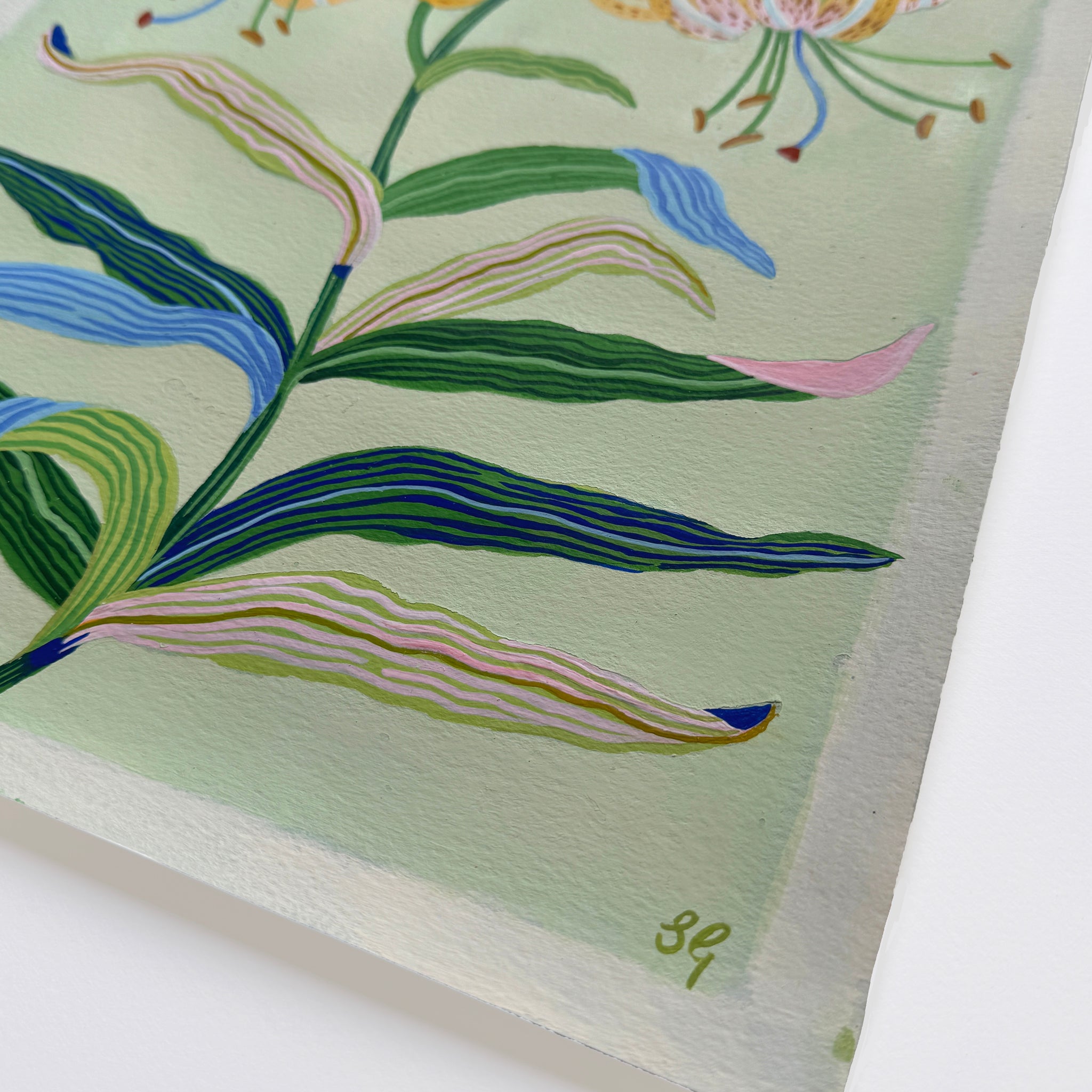 TIGER LILY no.2 11"x15"