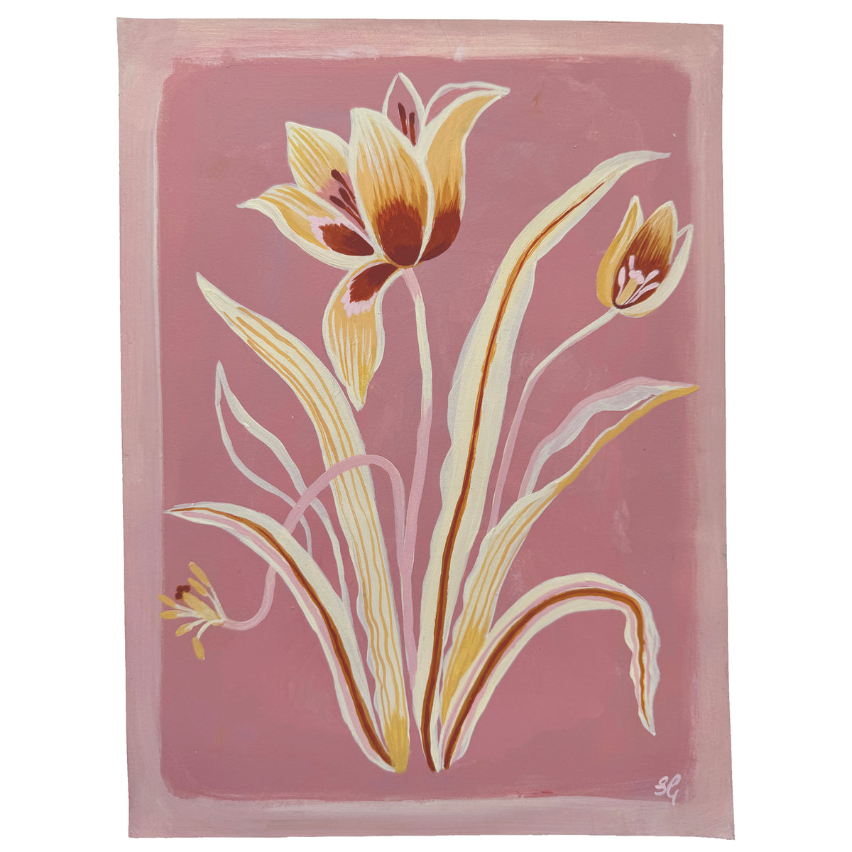 TULIPS on pink clay 9"x12"