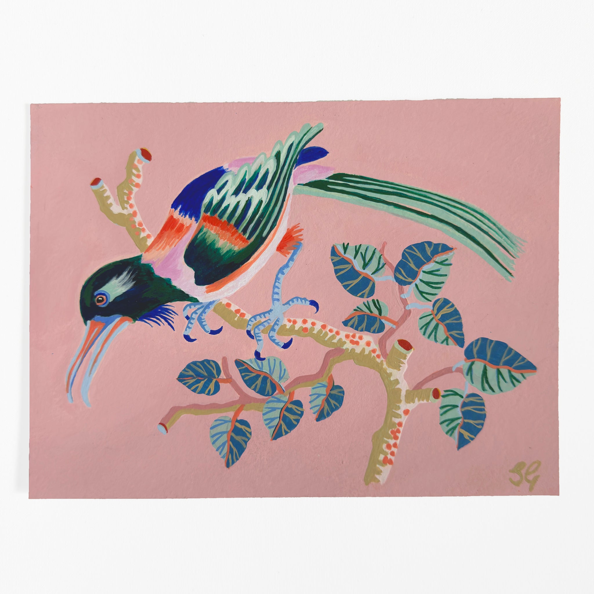 BIRD ON A BRANCH on clay pink 7.25" x 5.5"