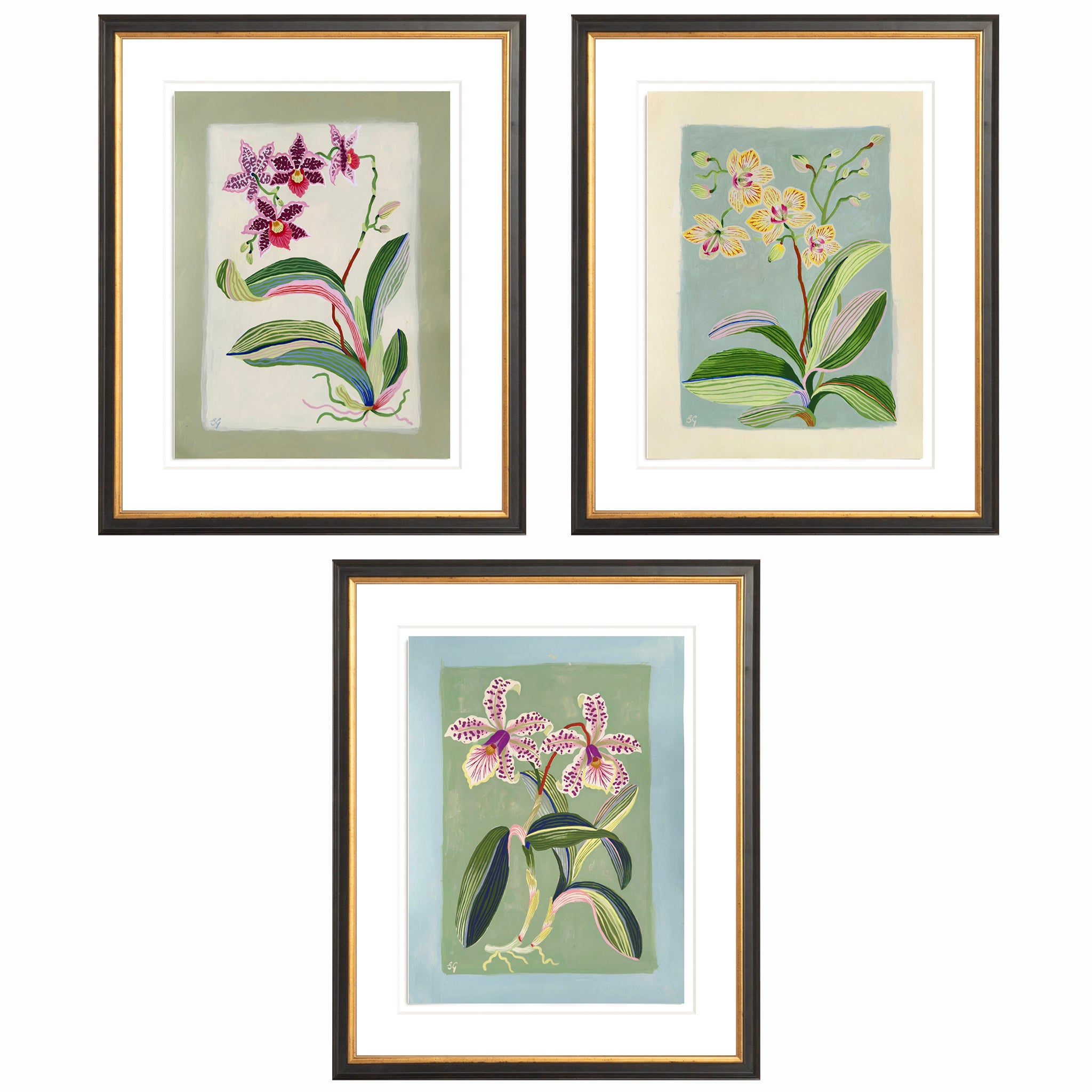 ORCHID BOTANICAL no.6. 12" x 16"